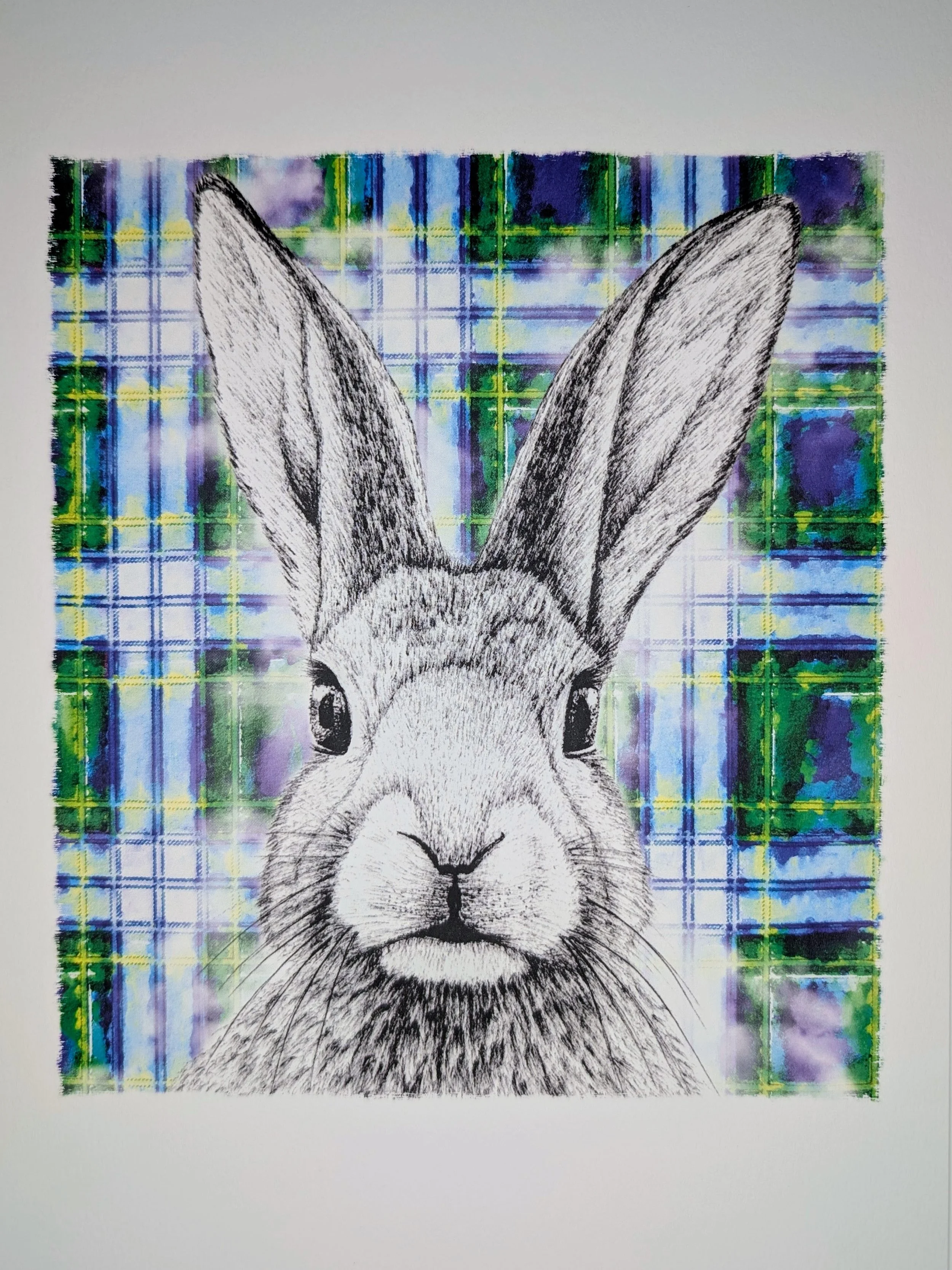 Lapin sur tartan