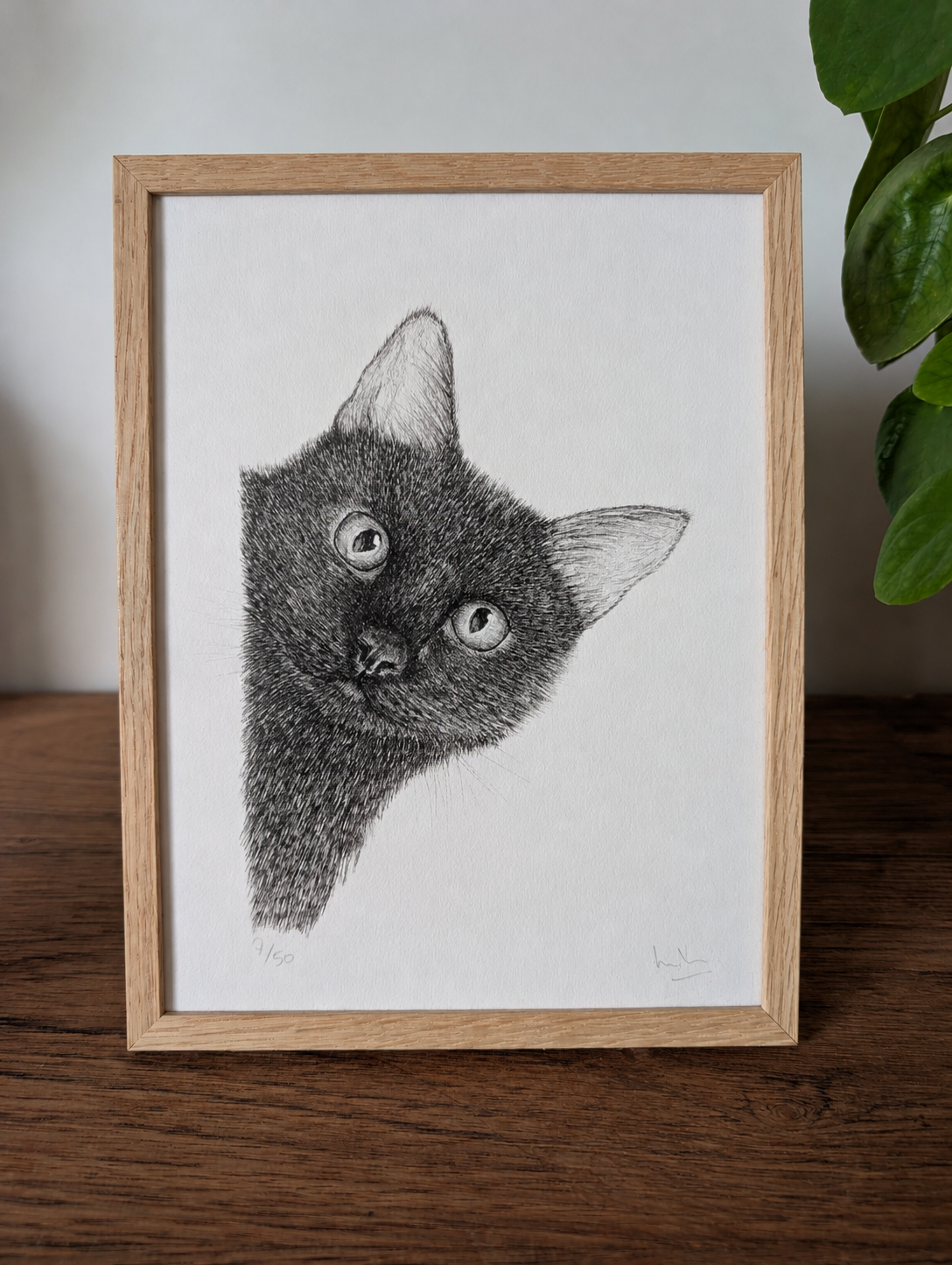 Chat noir
