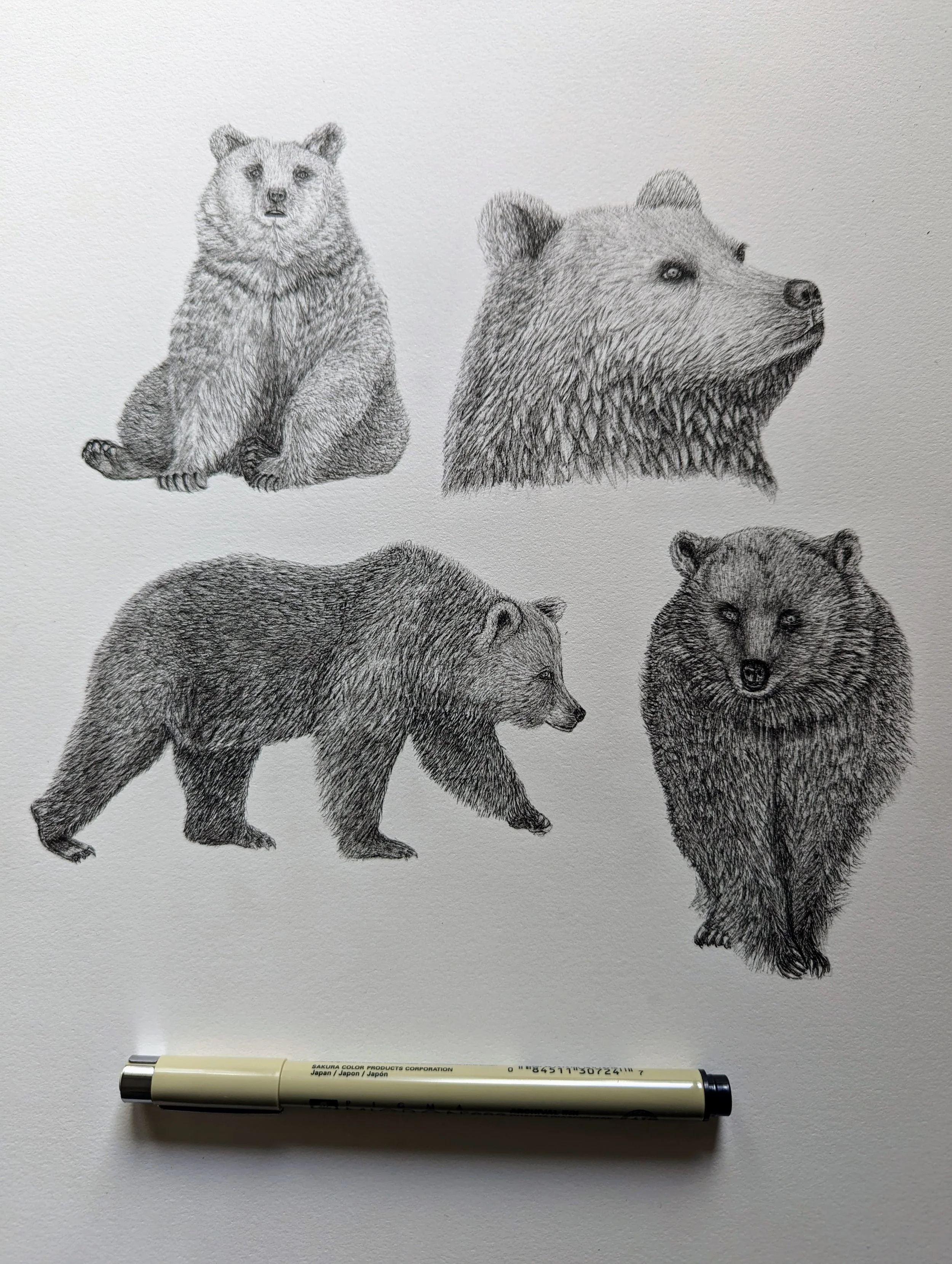 Ours - original