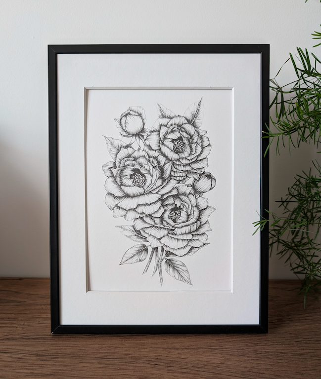 Pivoines 2