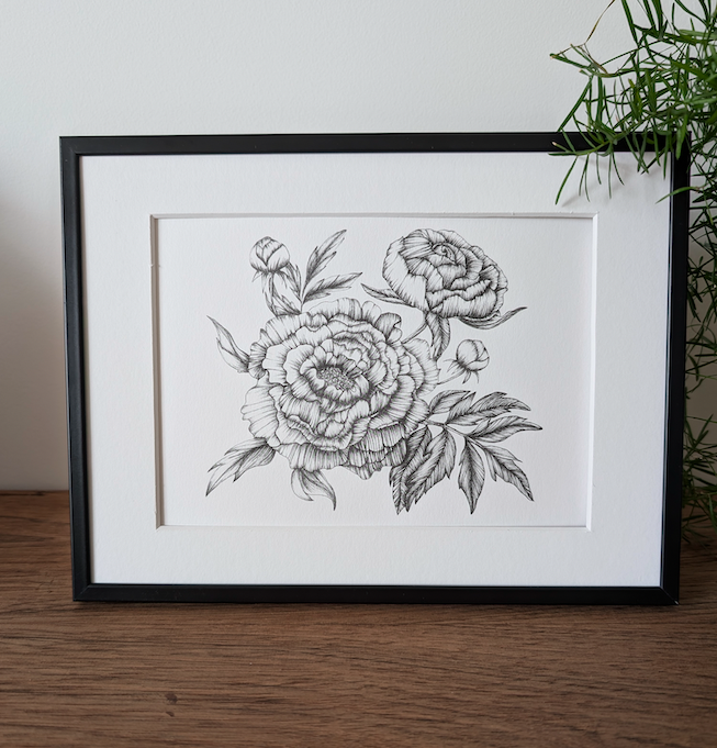 Pivoines 1