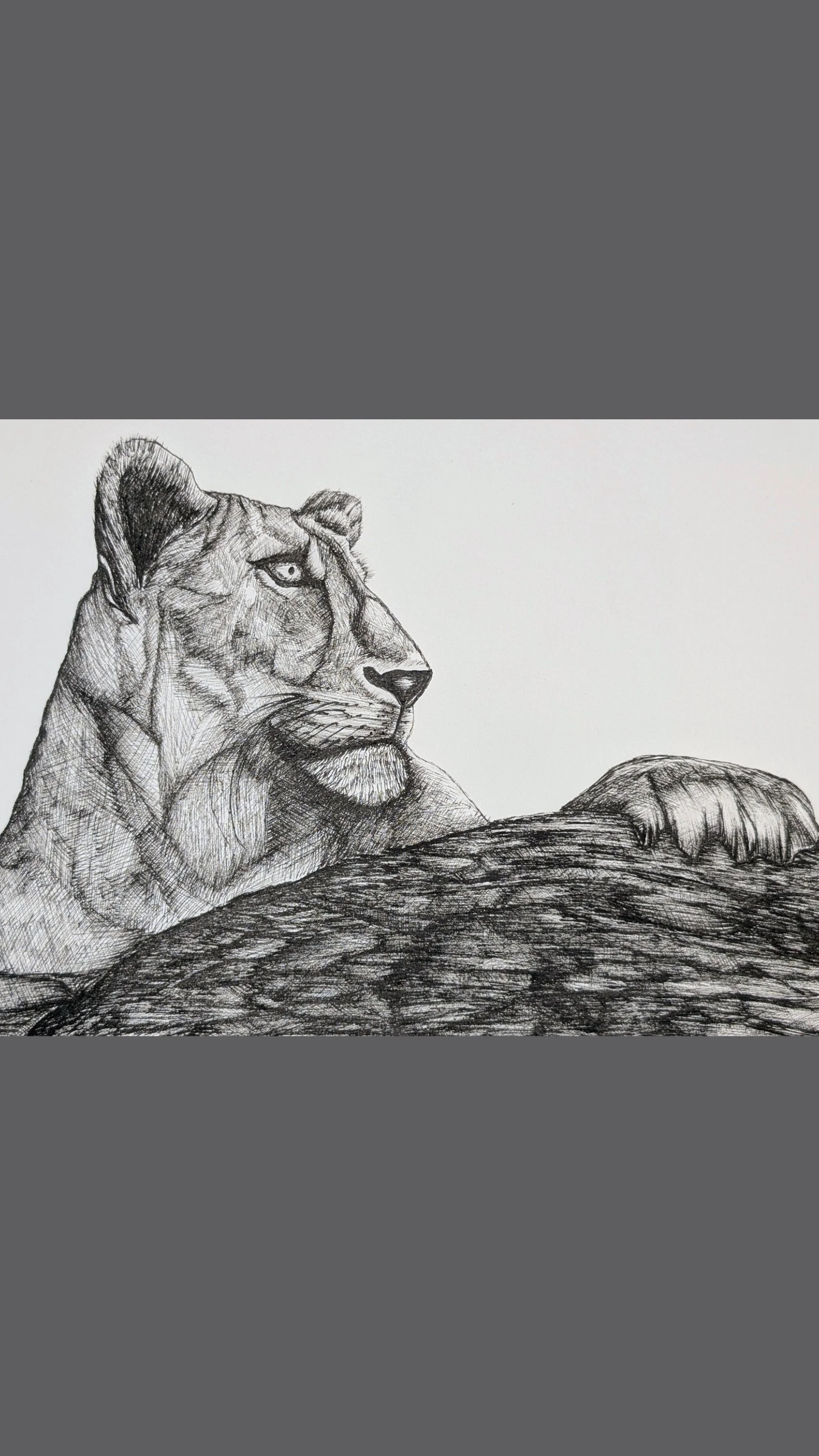 lionne de coté_page-0001.jpg