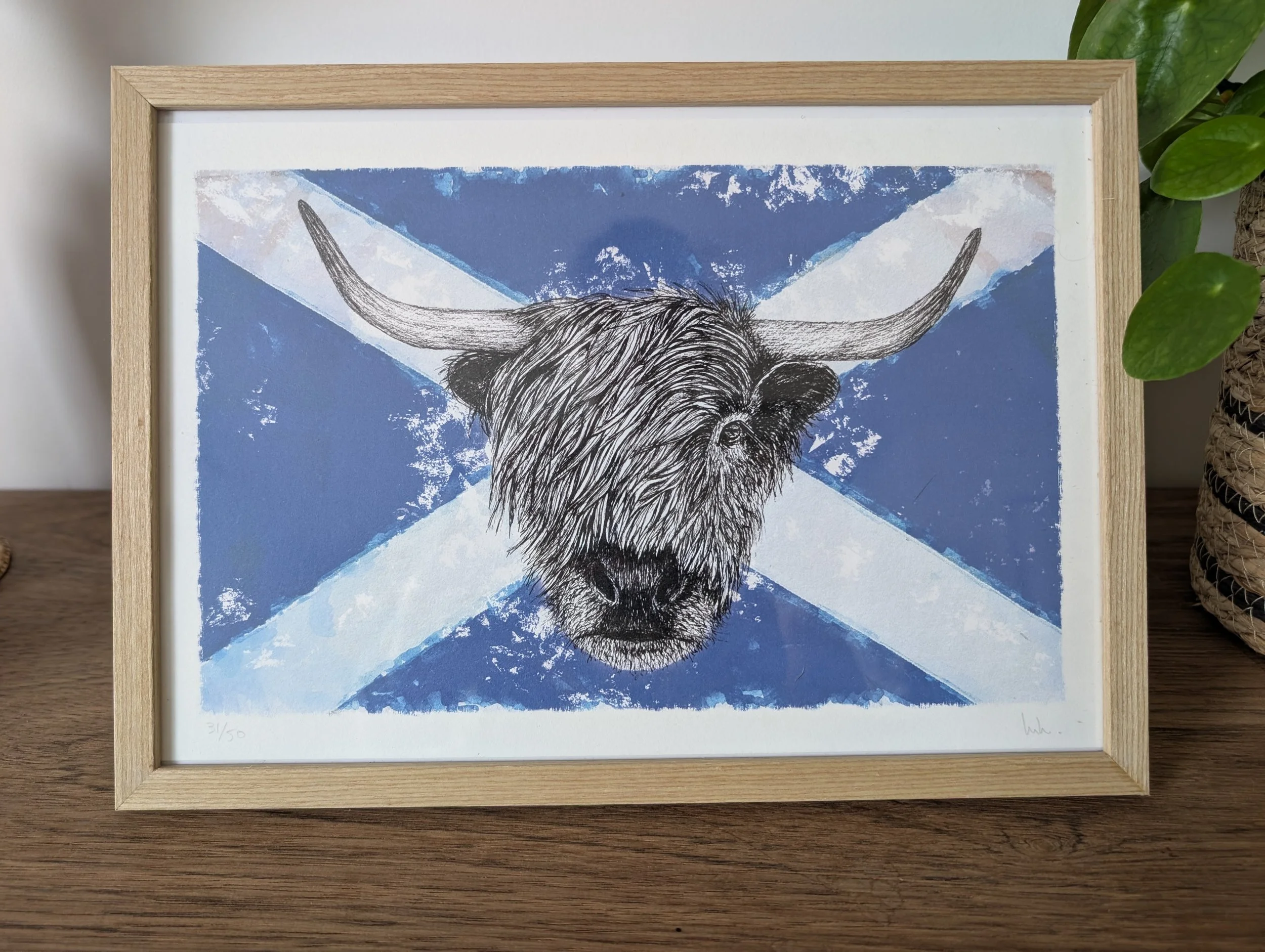 Highland sur drapeau écossais