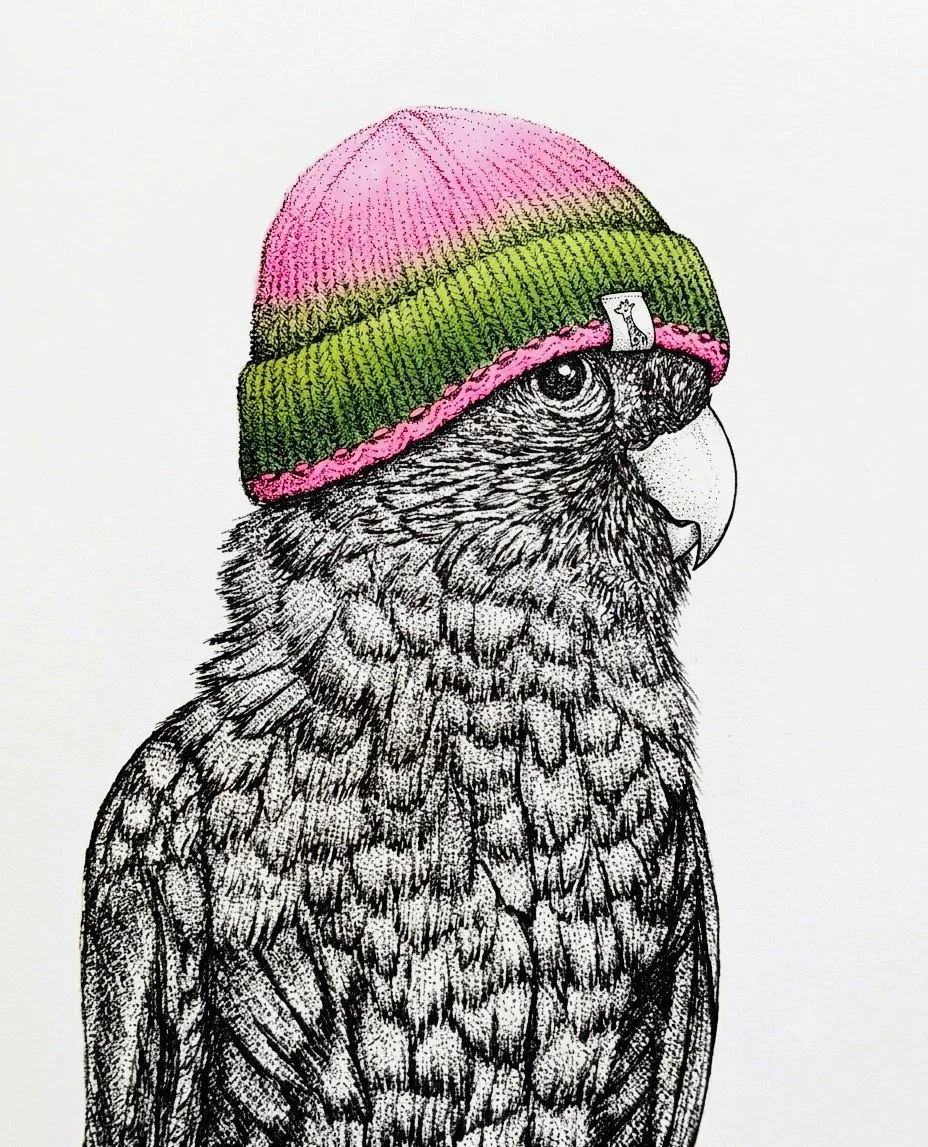 Un dessin noir et blanc d'un perroquet portant un bonnet coloré rose, vert et noir.