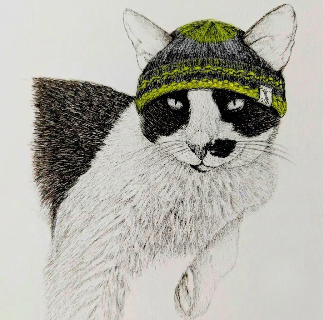 Un dessin d'un chat portant un bonnet tricoté vert et noir.