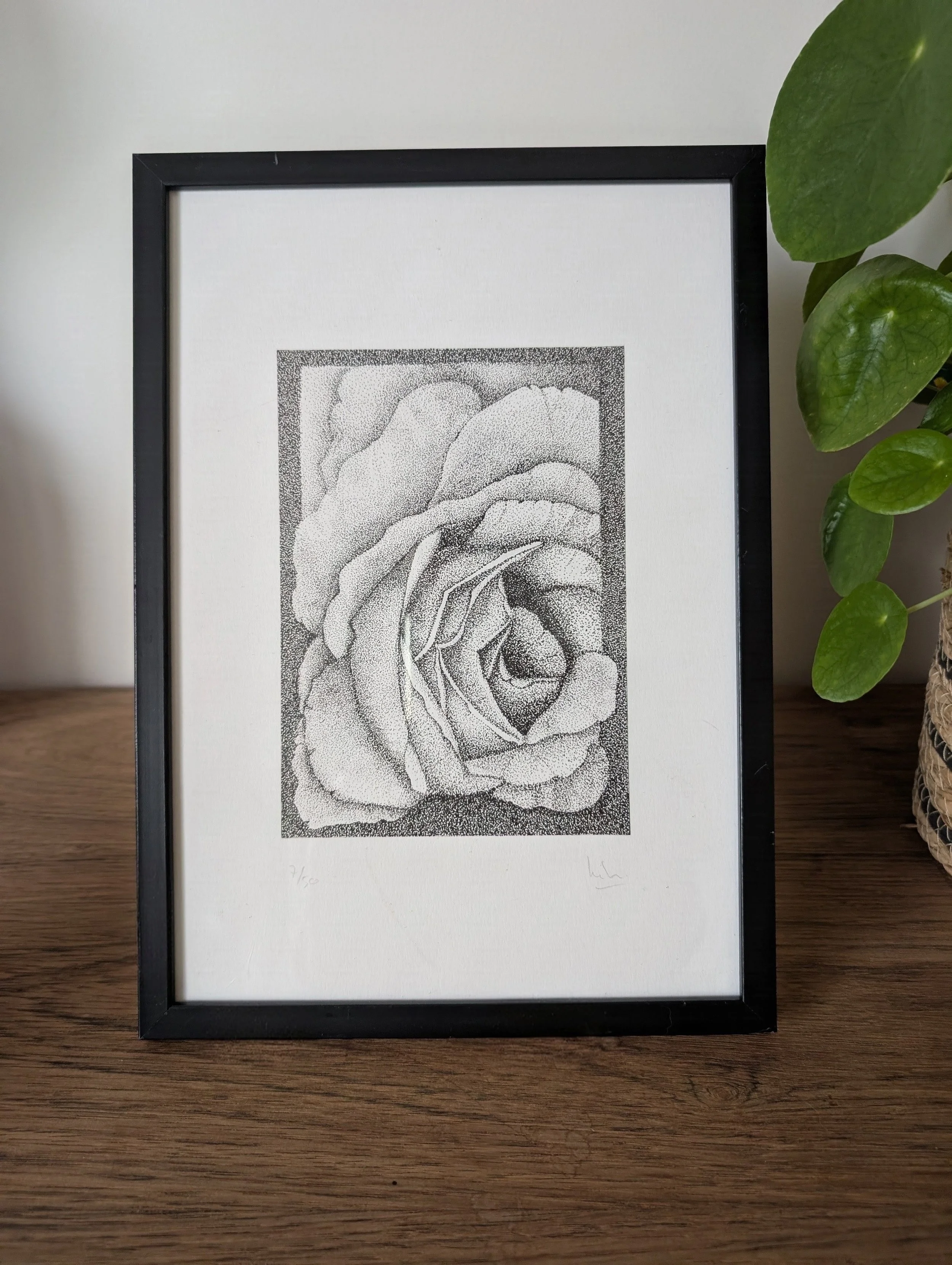Rose en pointillisme