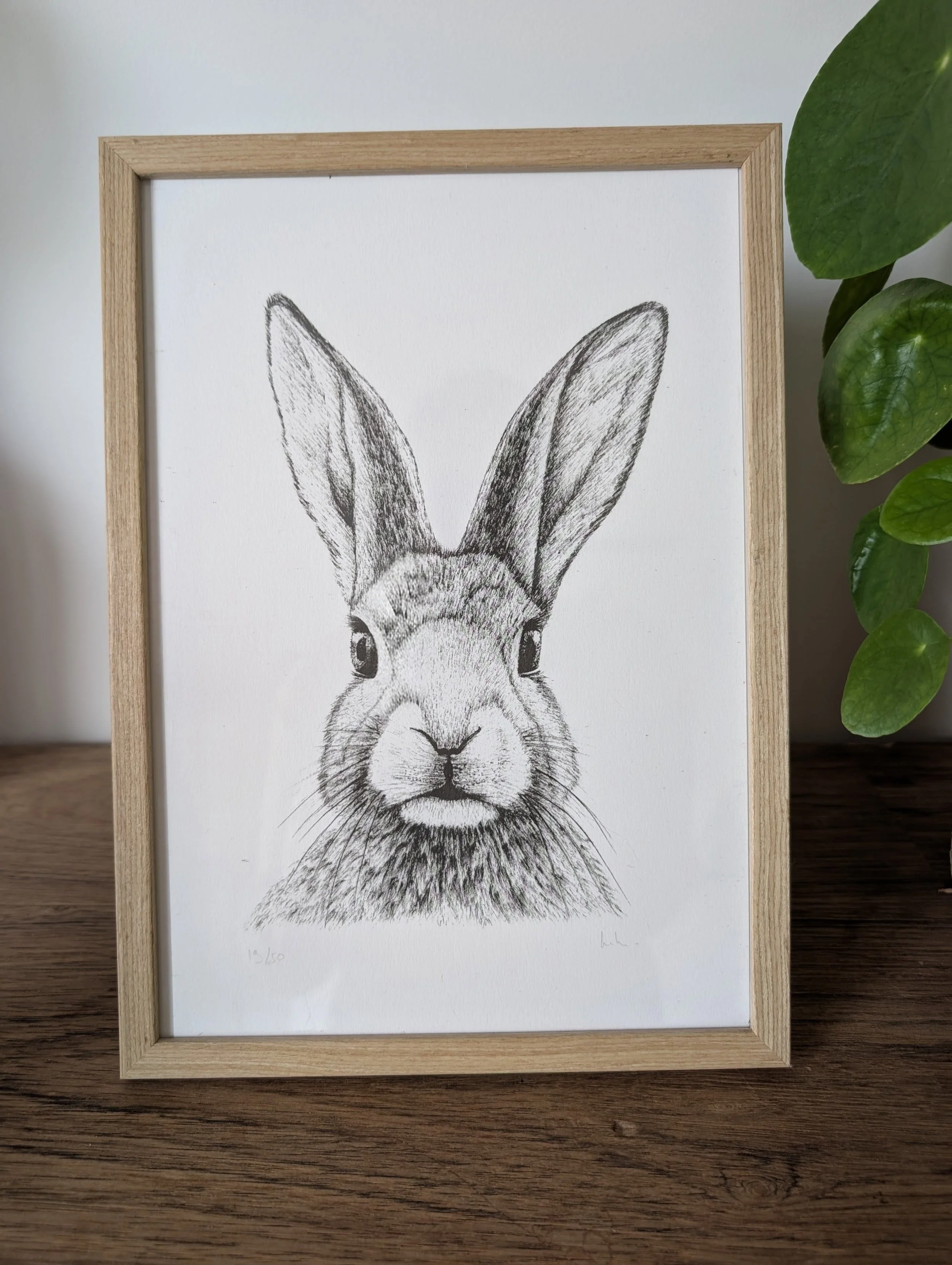 Lapin (grand format)