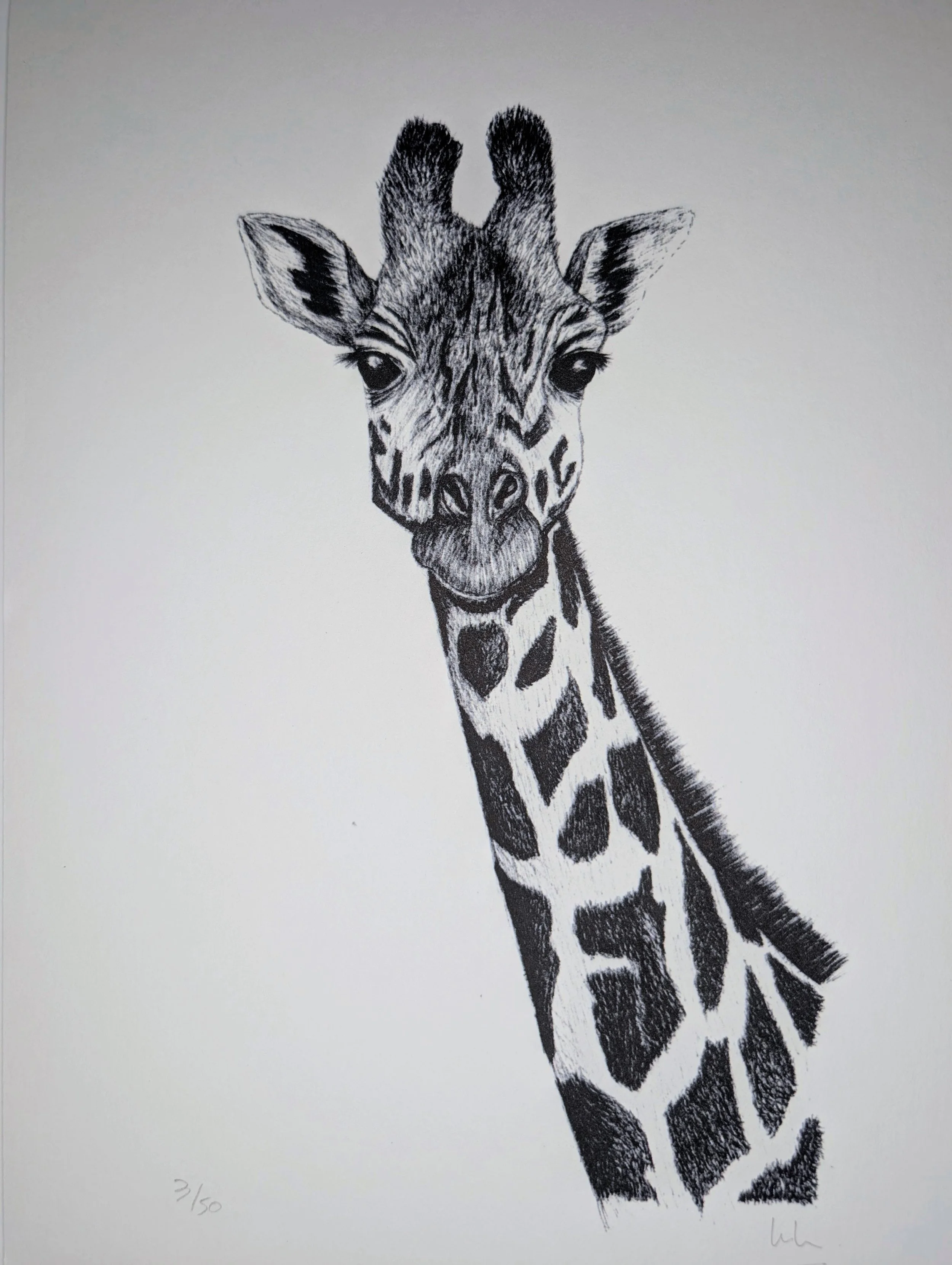 Girafe