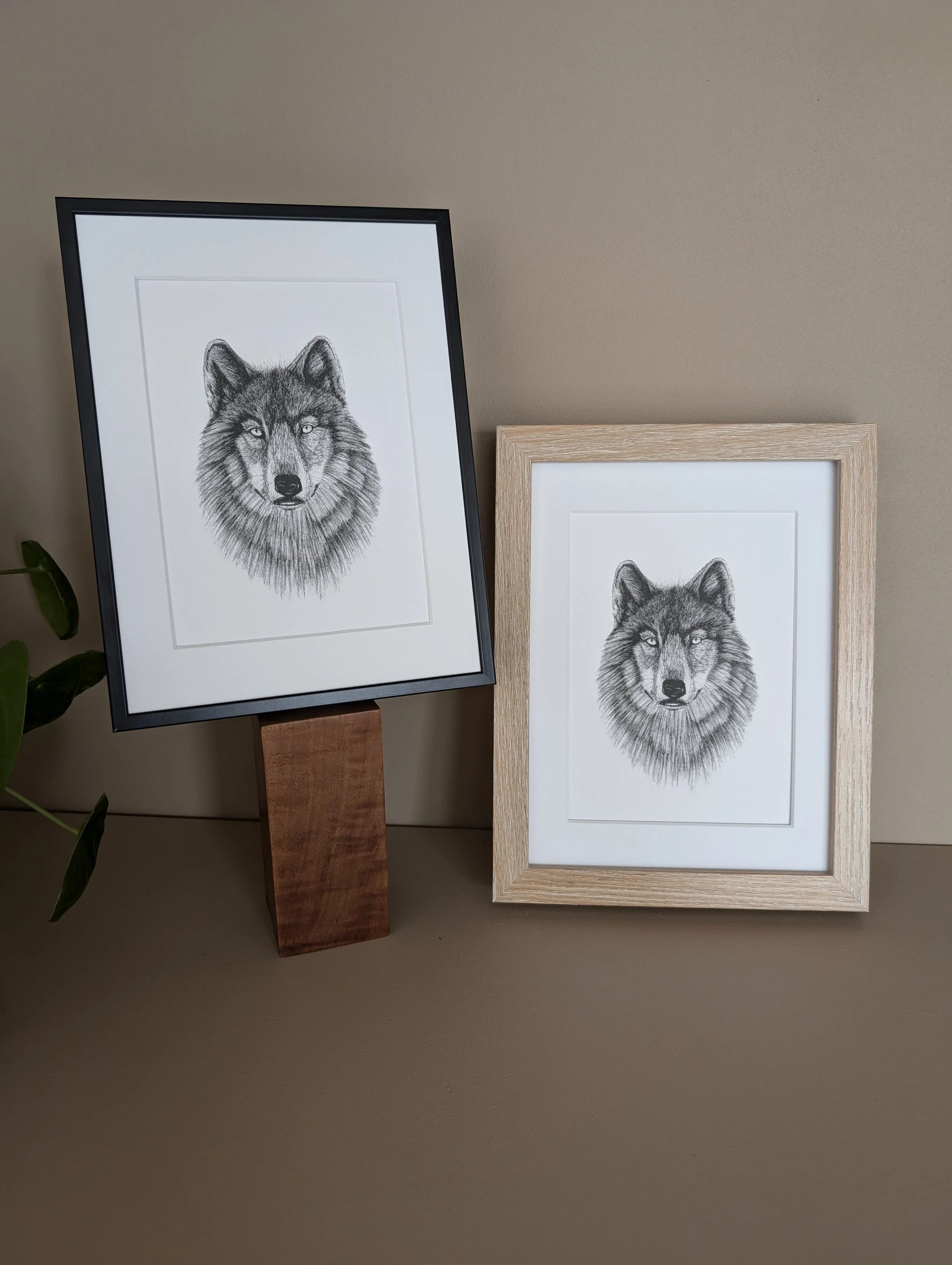 Loup