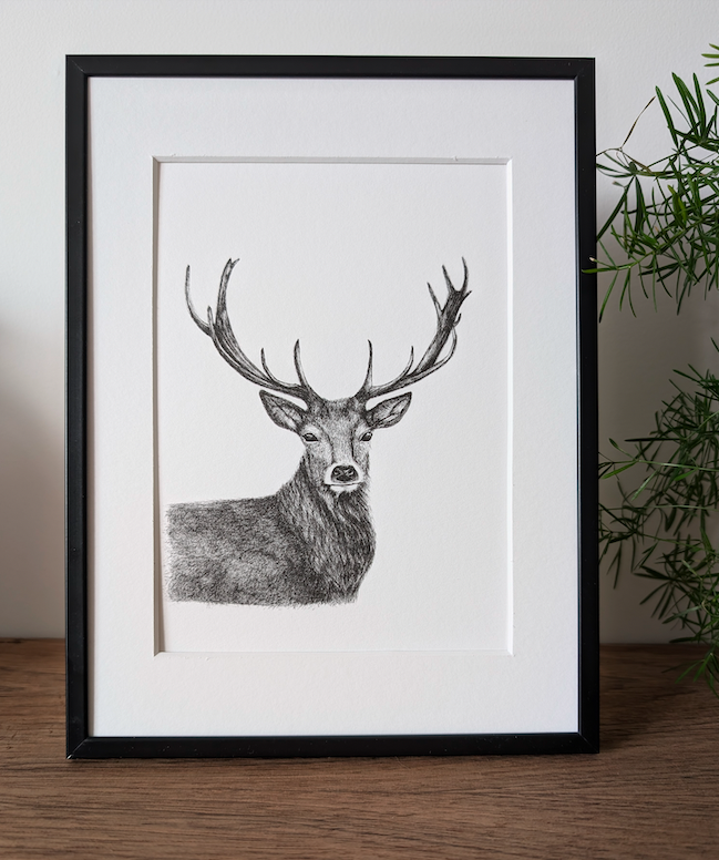 Cerf