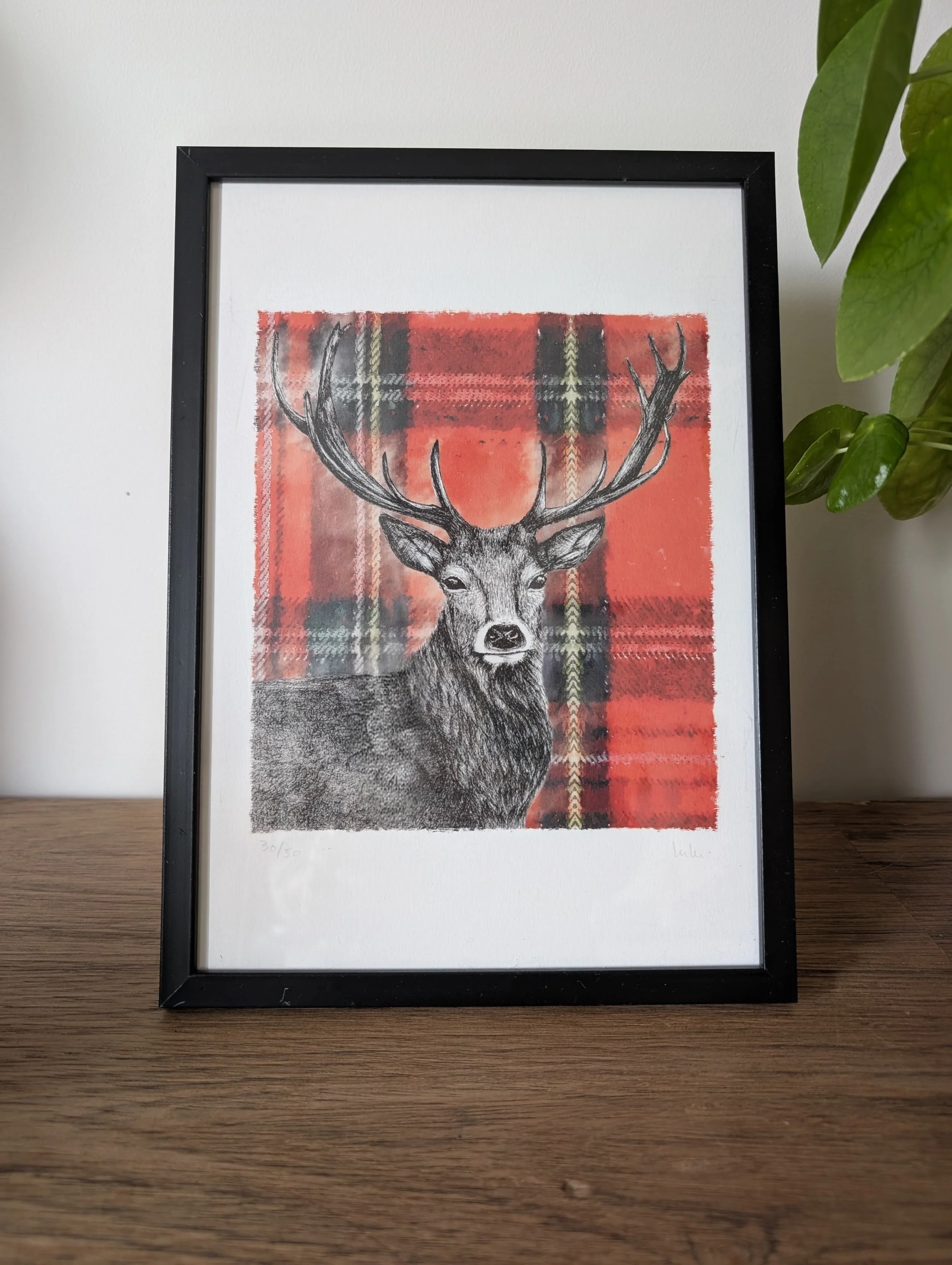 Cerf sur tartan
