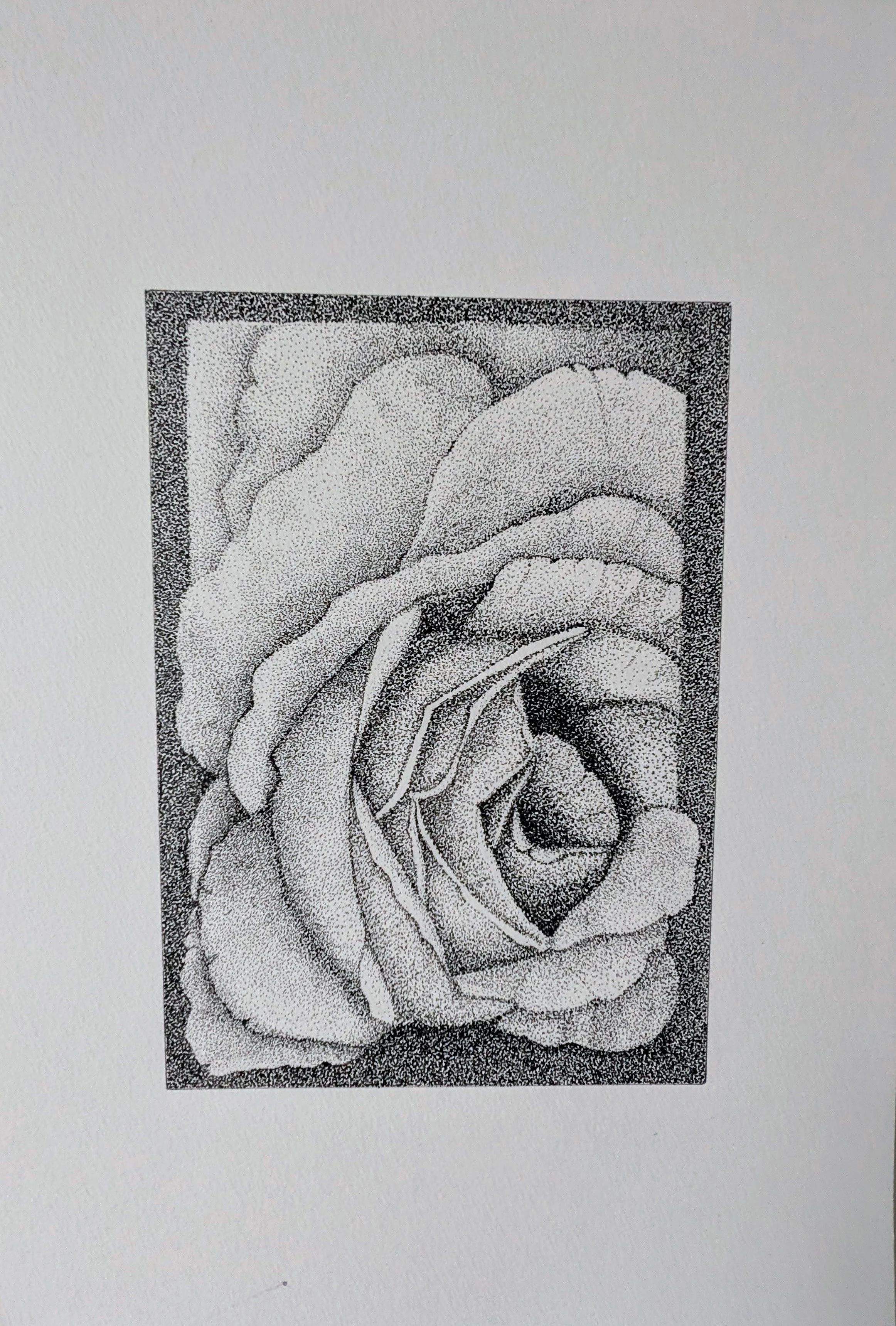 rose pointillisme.jpg