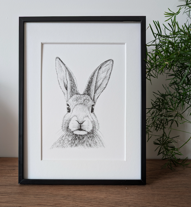 Lapin (petit format)