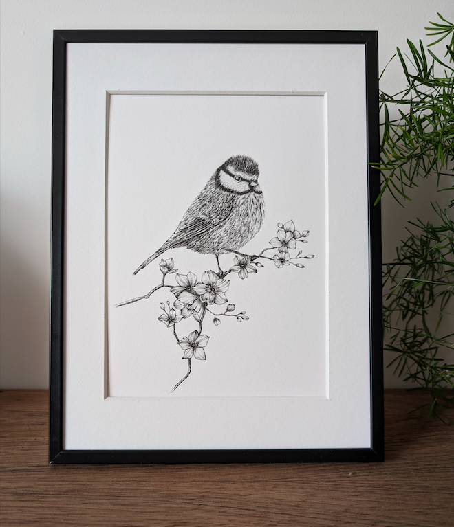 Mésange