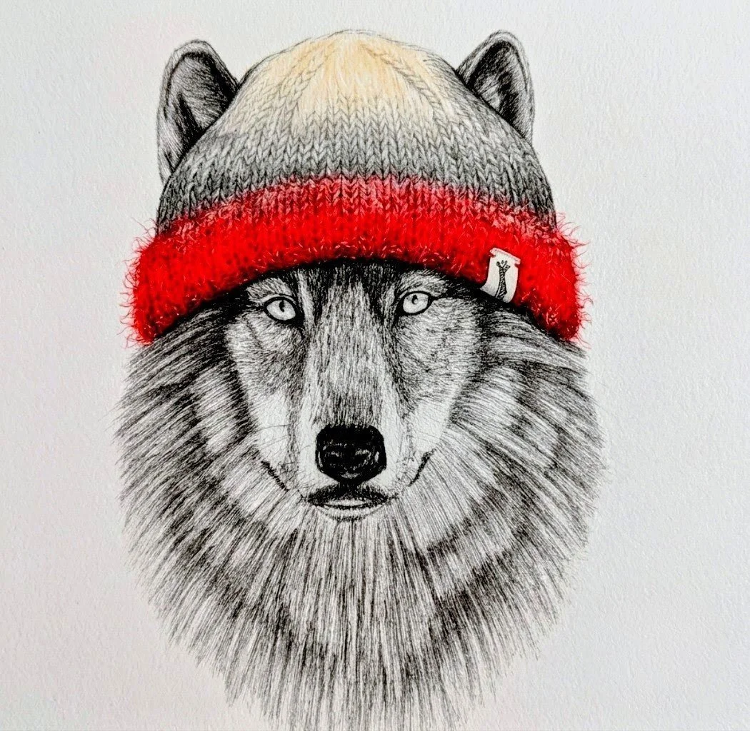 Un dessin d'un loup avec un bonnet tricoté à rayures, la partie supérieure du dessin est en couleur et la partie inférieure est en noir et blanc.