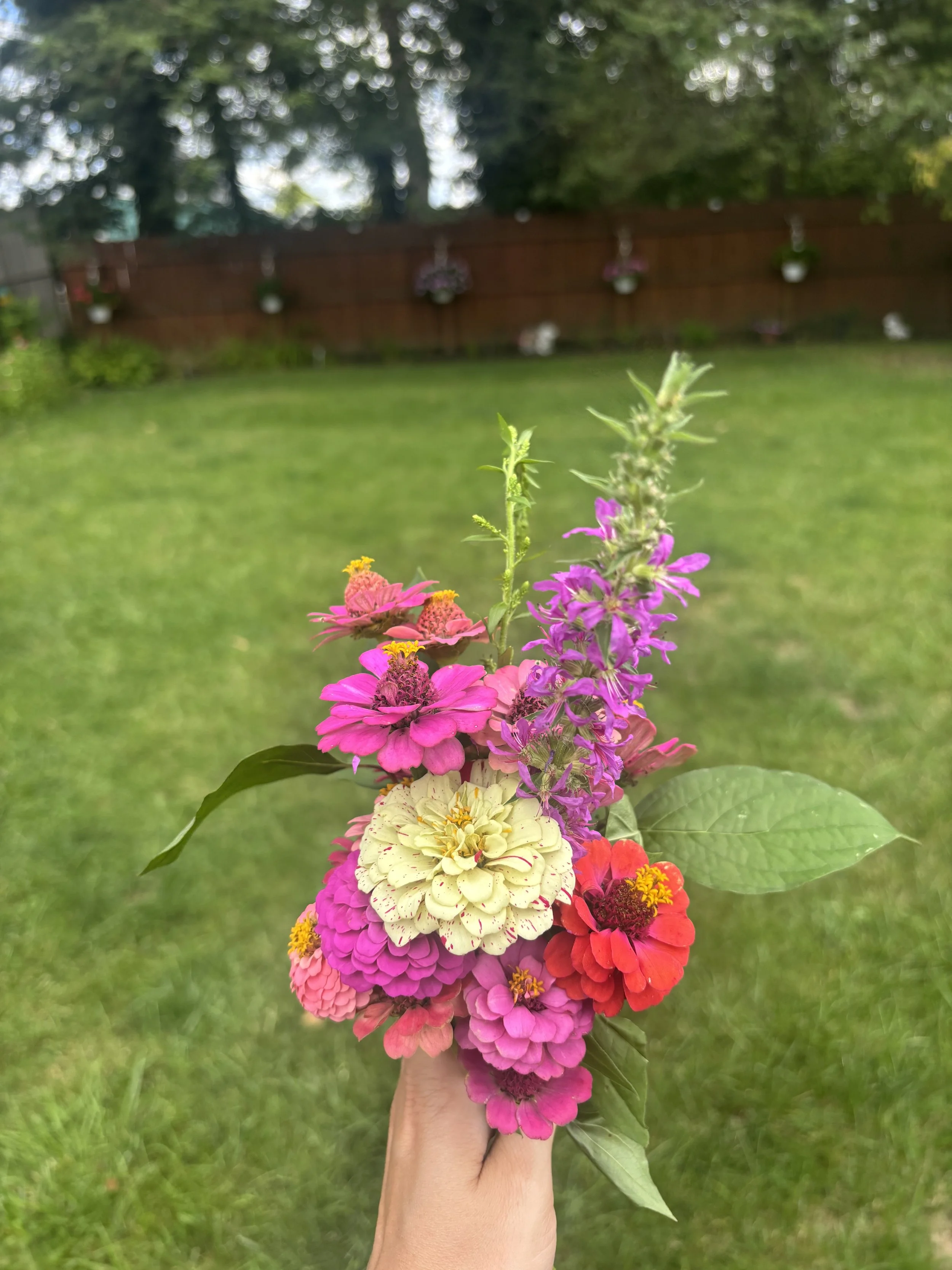 IMG_0137.jpeg