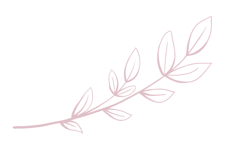 Light pink outline of a leafy branch on a black background.