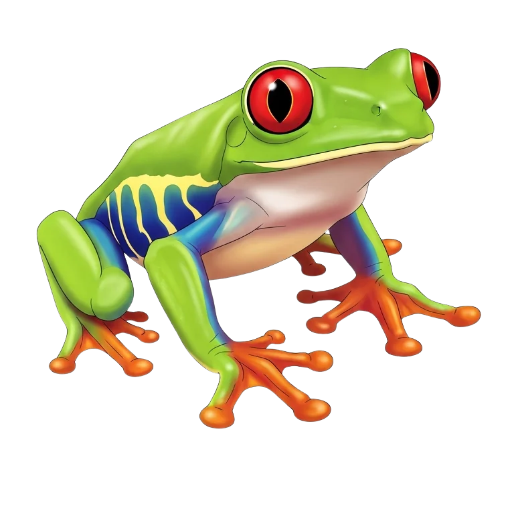 Colorful watercolor frogs from around the world featuring bright natural colors, unique markings, and realistic species details.