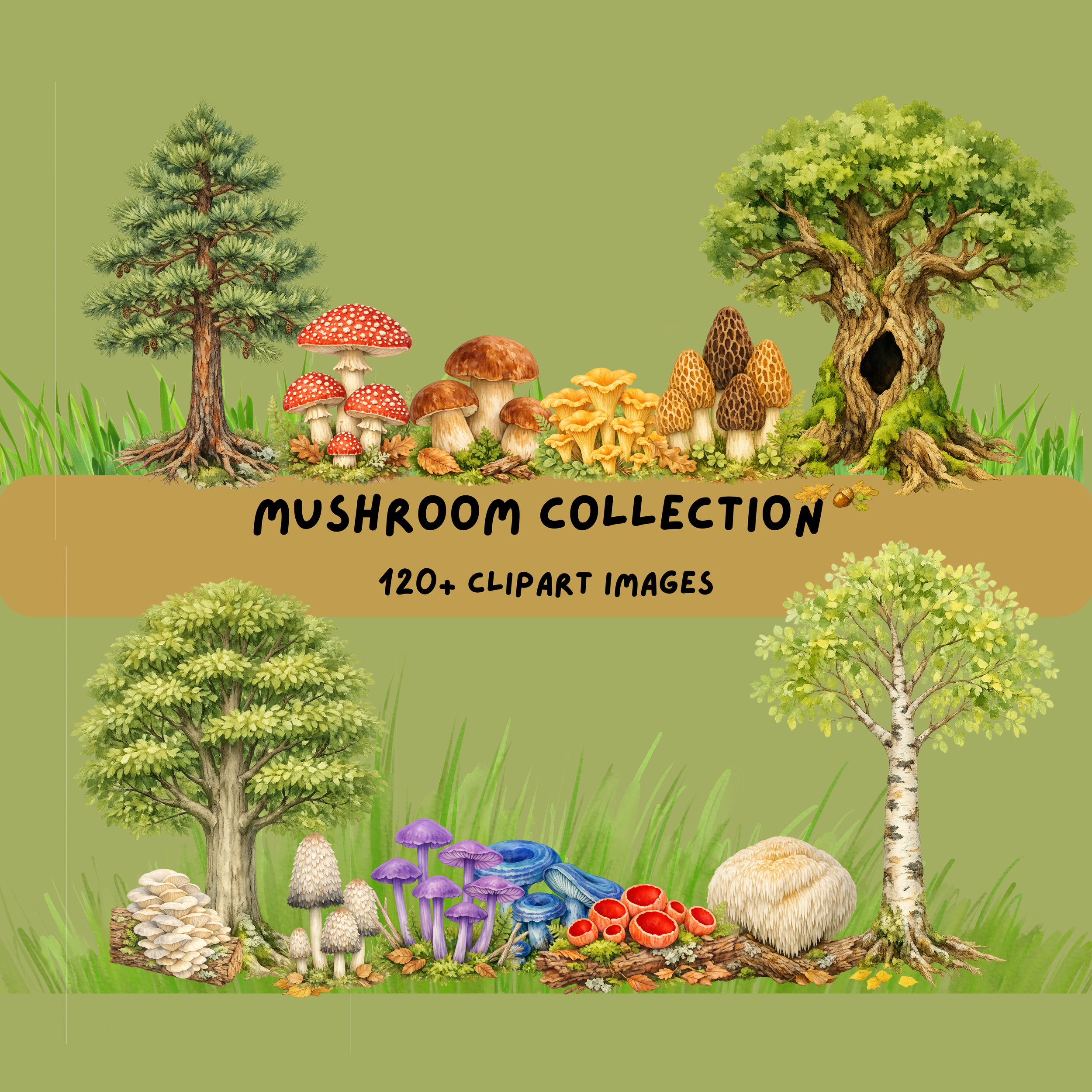 Whimsical watercolor mushroom clipart collection featuring colorful woodland fungi and forest elements by Frog Punk Studio