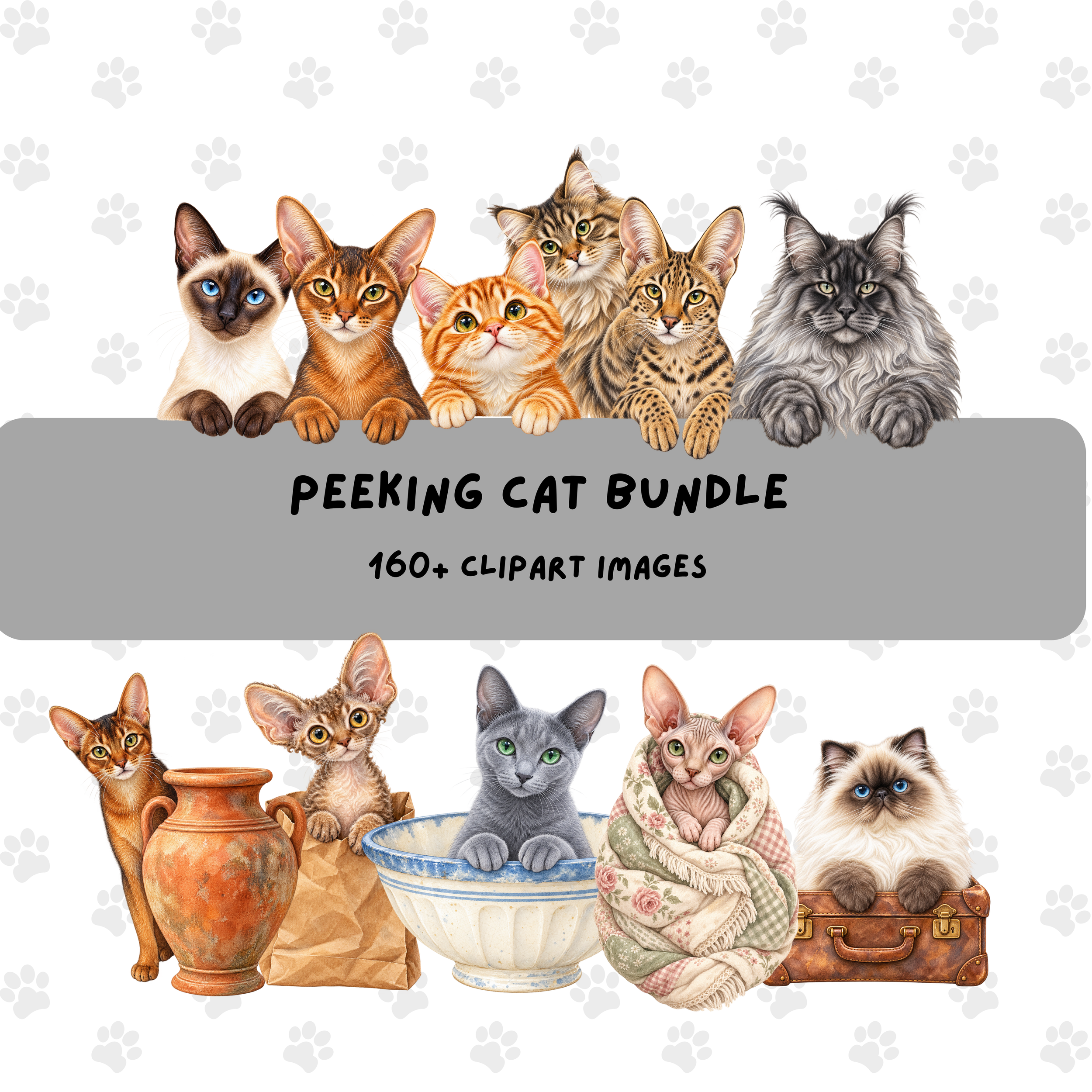 Collection preview of many watercolor peeking cats in different breeds, colors, and playful poses.