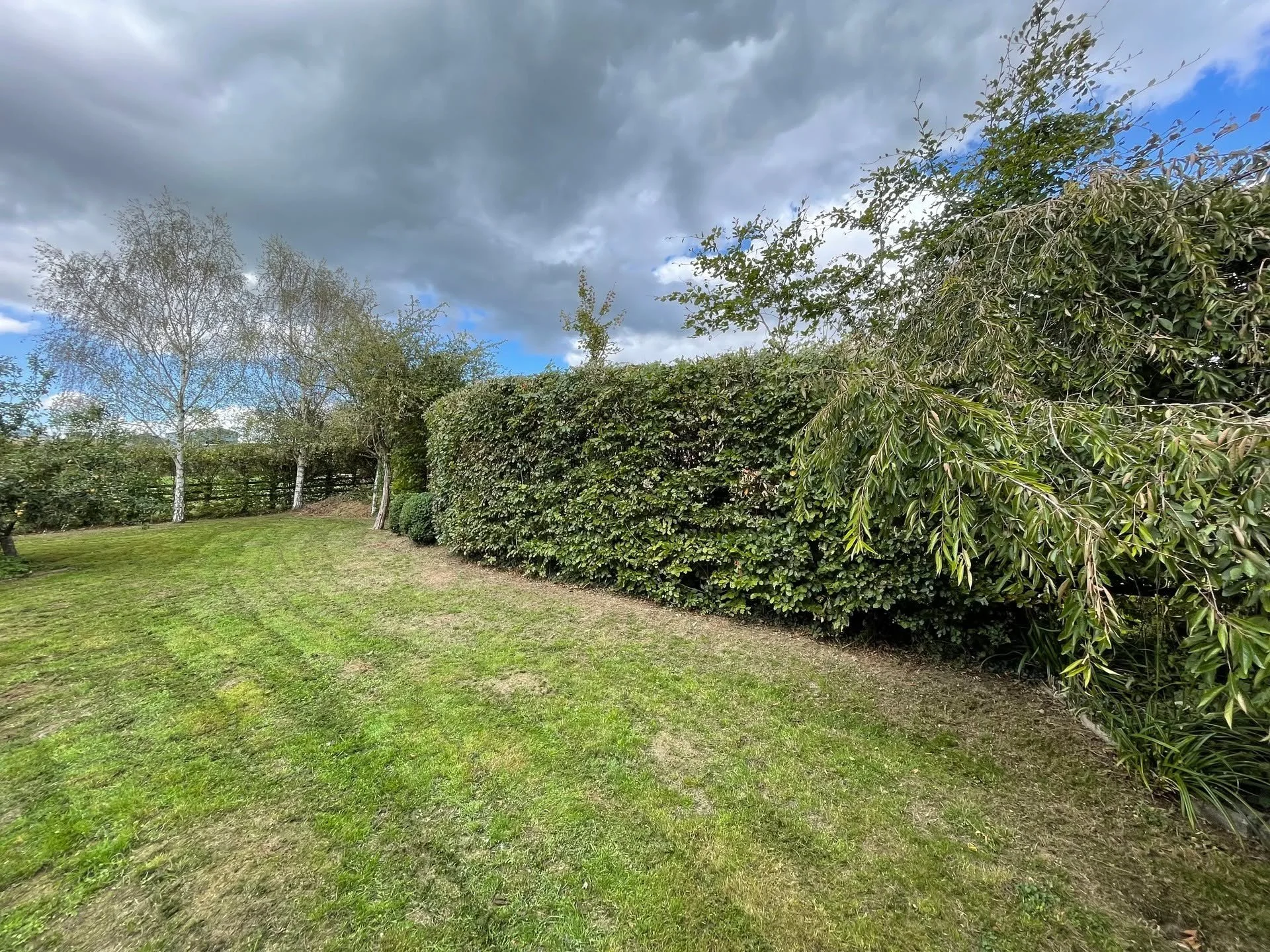 Getting ready for winter with this garden tidy-up. Hedge trimmed, edges strimmed and lawn mowed.

#landscaping 
#hedges 
#nativehedges 
#hedgecutting 
#gloucestershire 
#stihluk 
#stihlhsa130r 
#stihlhla135
#henchmanladders