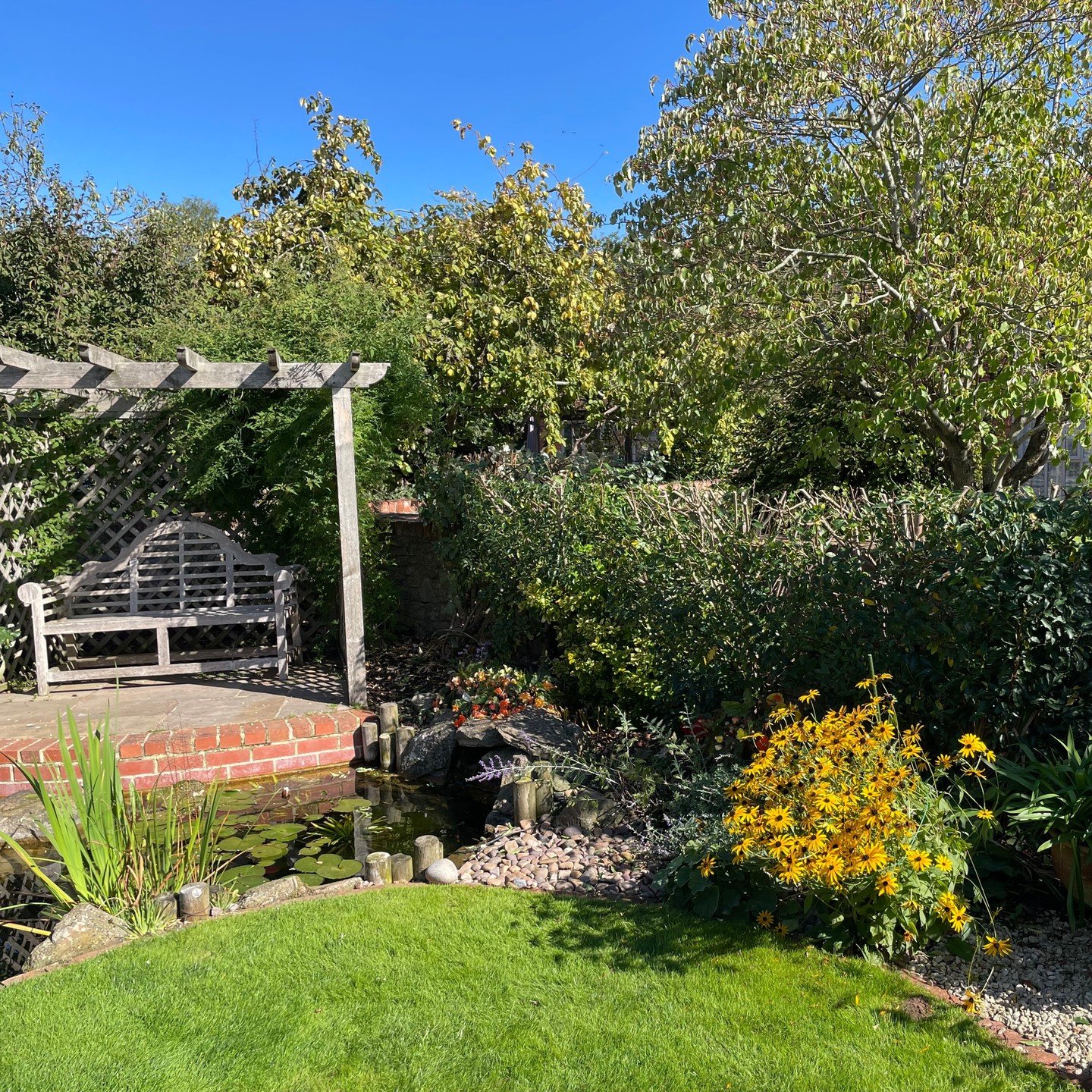Just another regular day in the office, but this time, a family of swans arrive to check out my work. Both the swans and the client were very happy - result!

#gardendesign 
#landscaping 
#planting 
#gardenborderdesign 
#borders 
#hedges 
#hedgecutti
