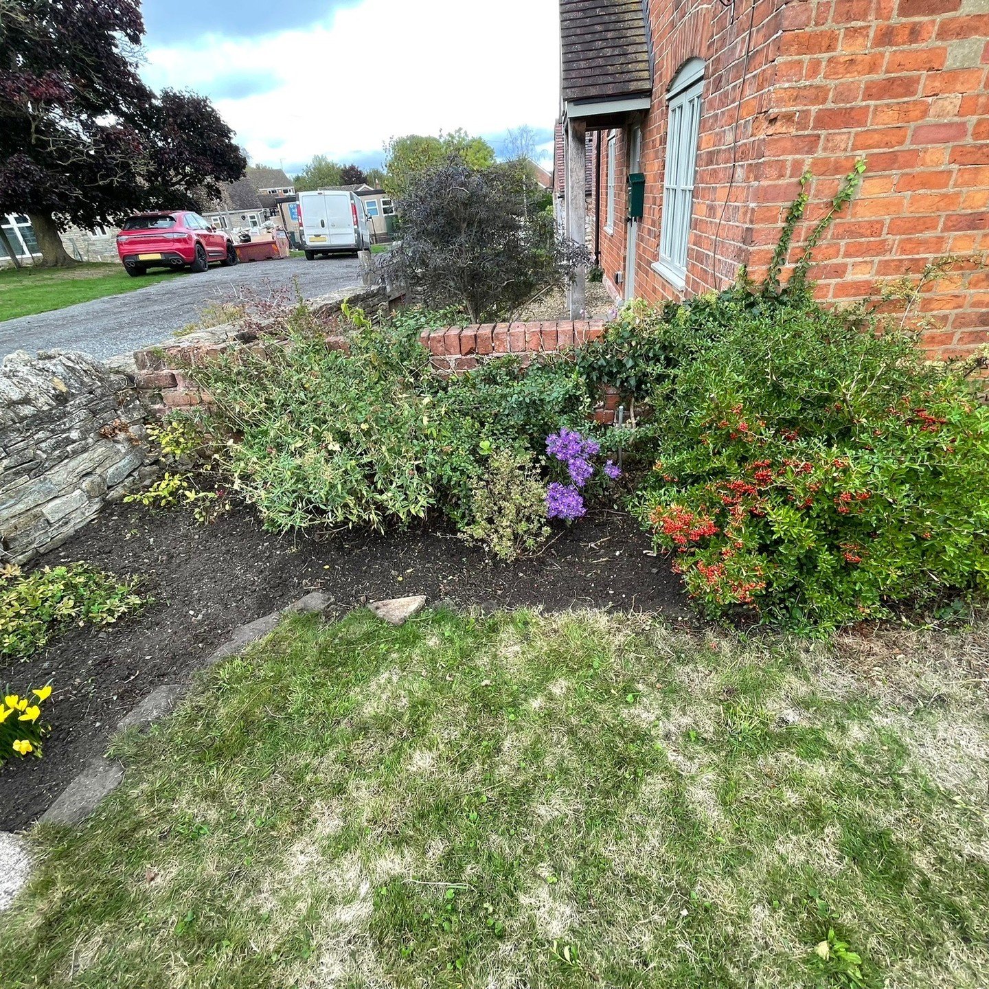 Due to various reasons, my client wasn't able to get to their garden this year, so they asked if I could help. The border was very overgrown with weeds, grass, brambles and ivy choking the plants.

Used a combination of the Japanese Weeding Hoe from 