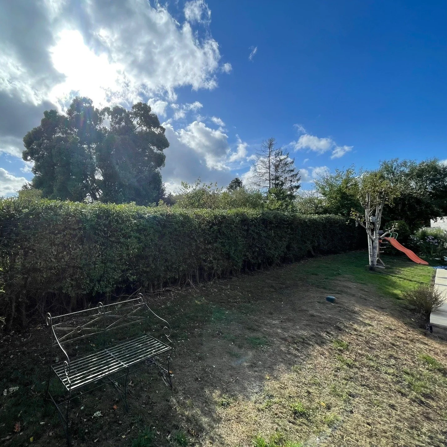 Customer reached out and asked if I could trim their hedges as they had gone crazy this year.

This beautiful example of a native hedge was 3m high, 2m wide and approximately 70m long. It had grown at least 1m having missed its trim earlier in the ye
