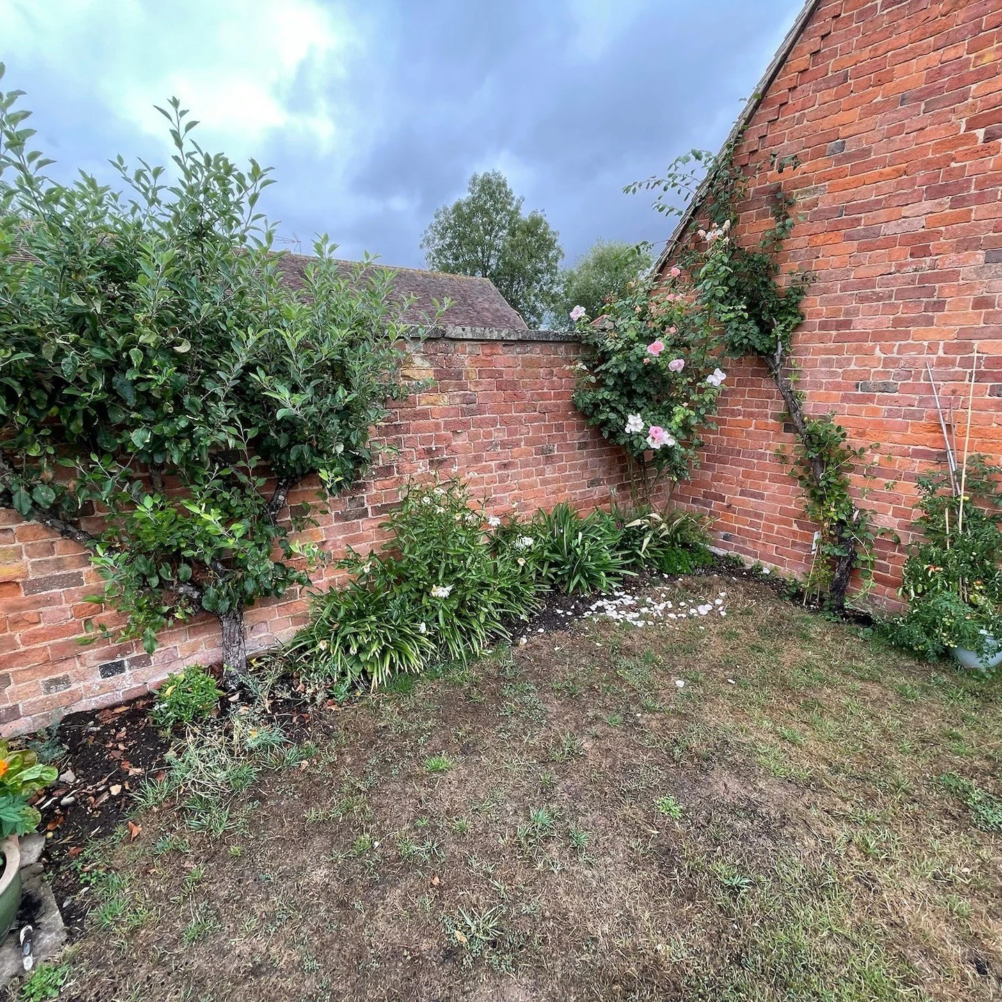 The client brief: need bigger garden borders to grow lots more flowers.

Mission accepted ...

#gardendesign #landscaping #planting #plantingdesign #borders #gloucestershire
