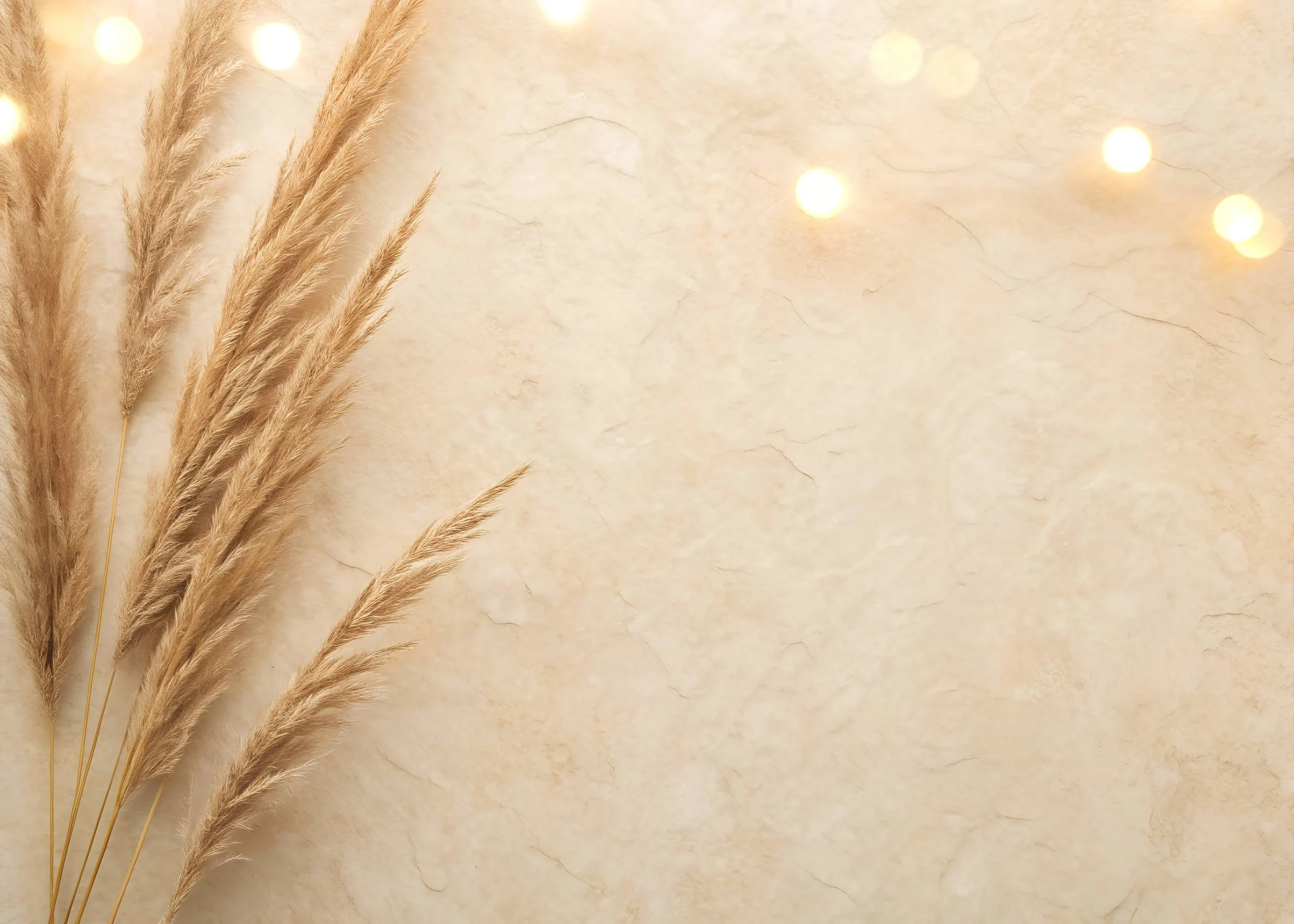 Top Tier Medspa in Chico, CA, 95973