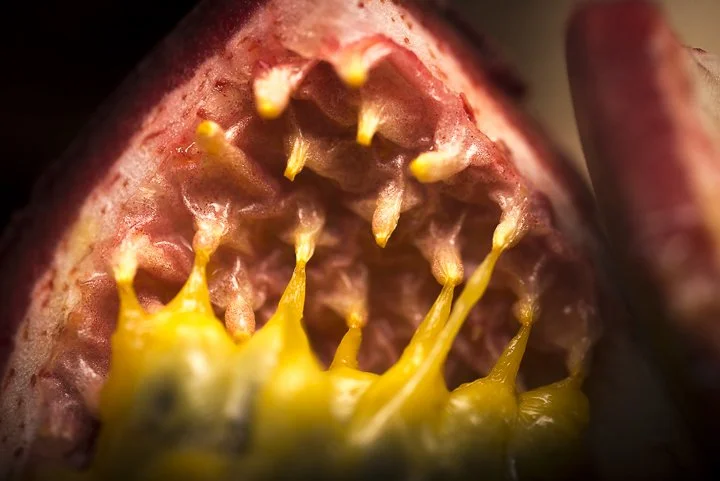 HFein_CP3530_Wk8_Stage10-13.jpg
