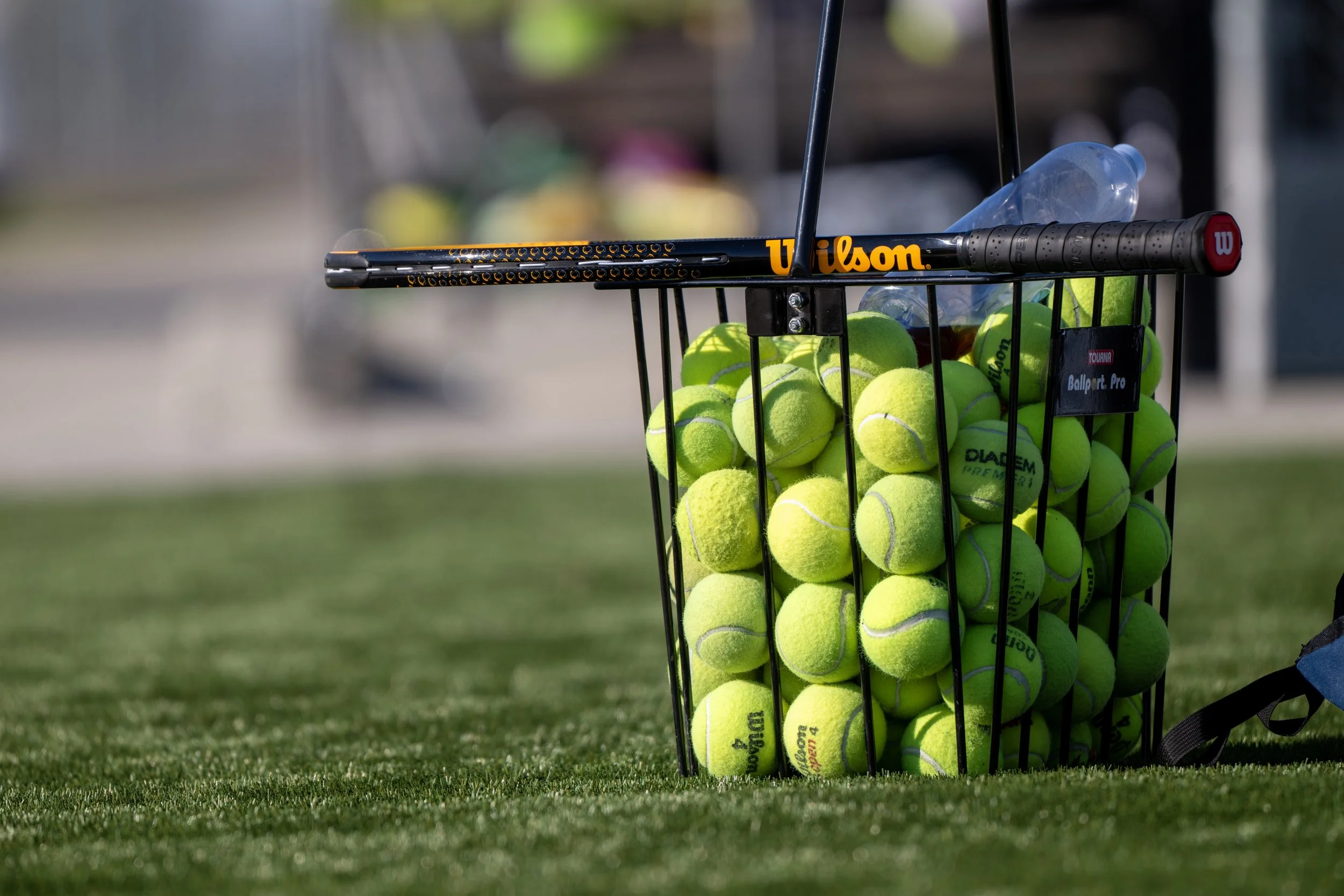 West Park Tennis