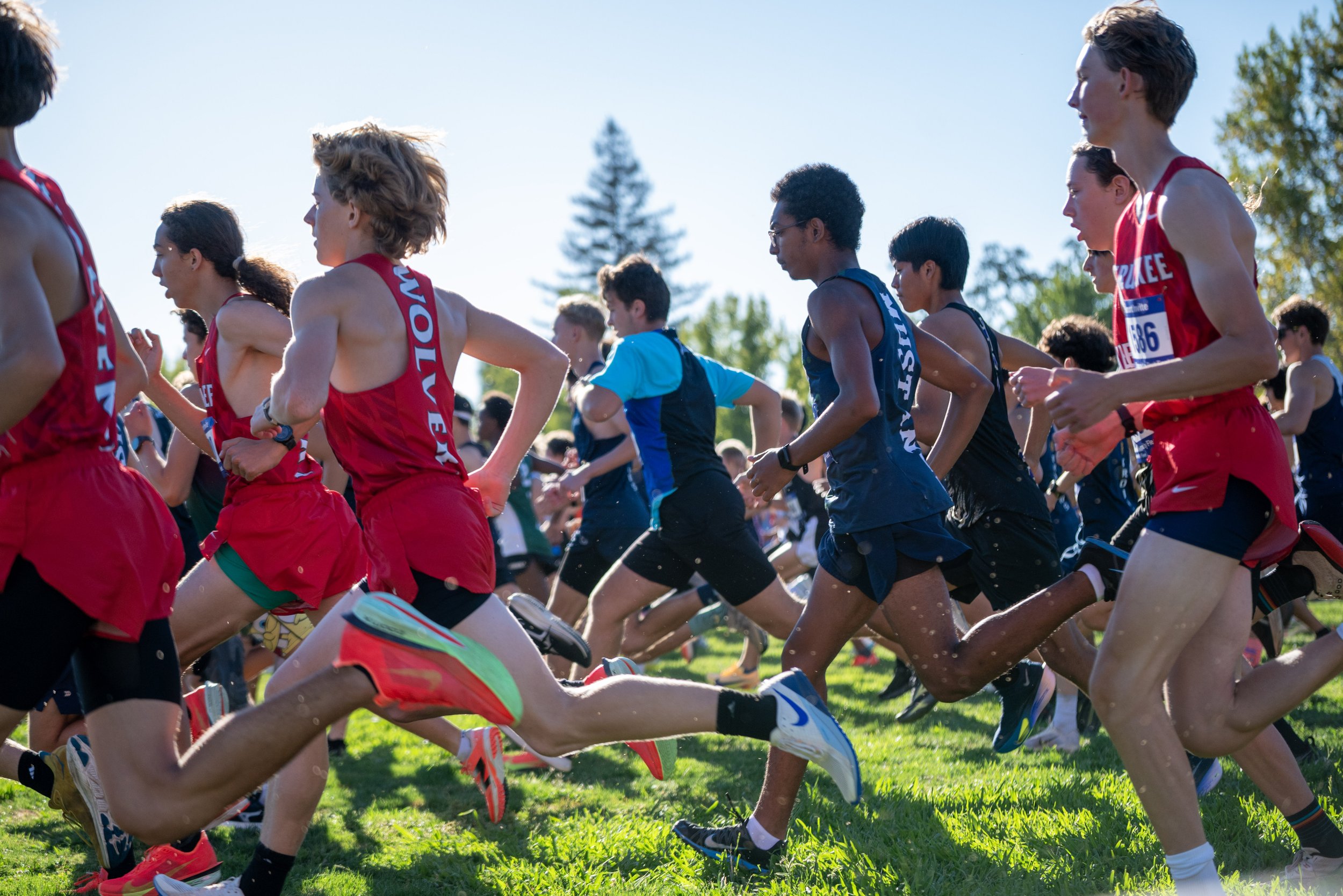West Park Cross Country