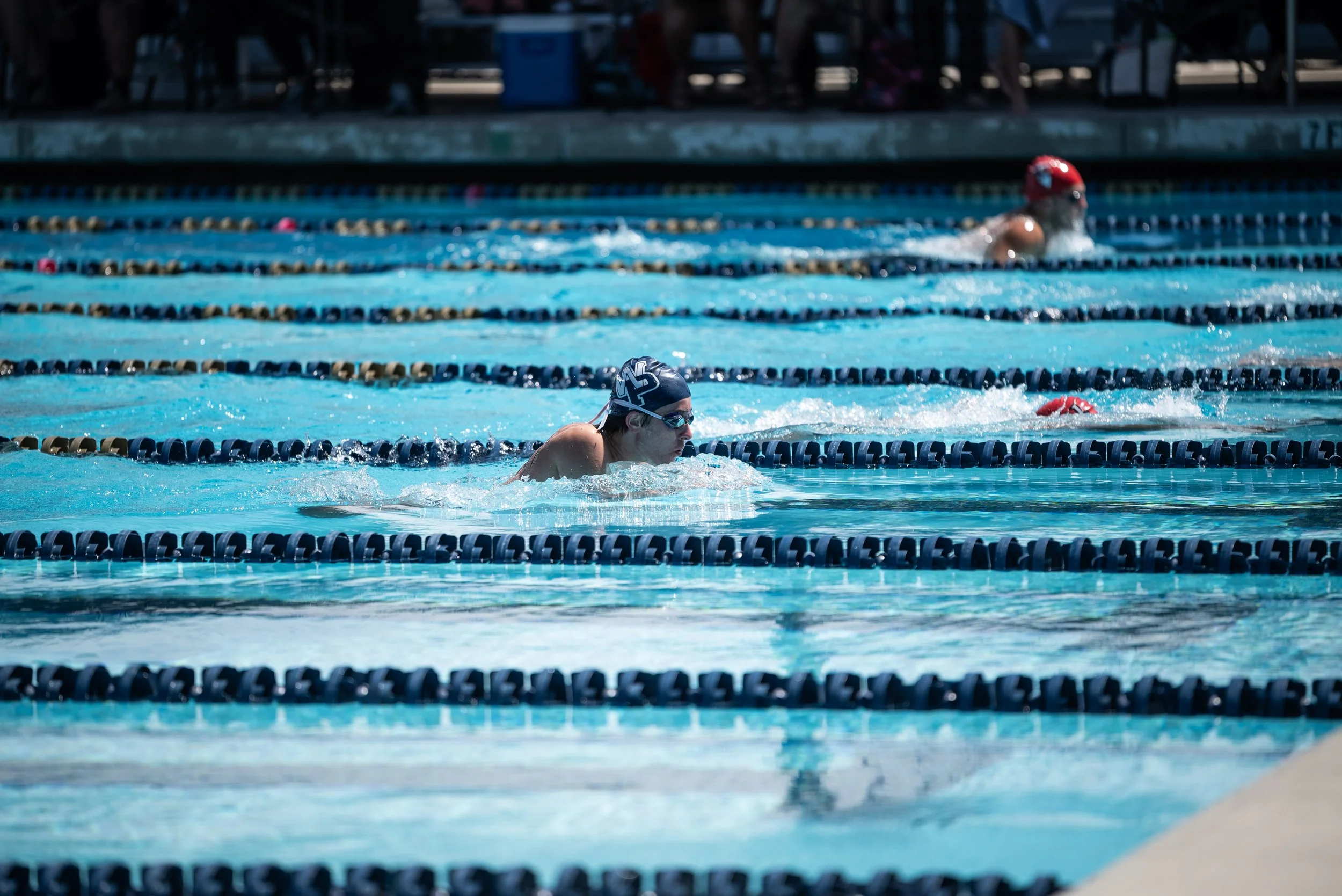 West Park Swim