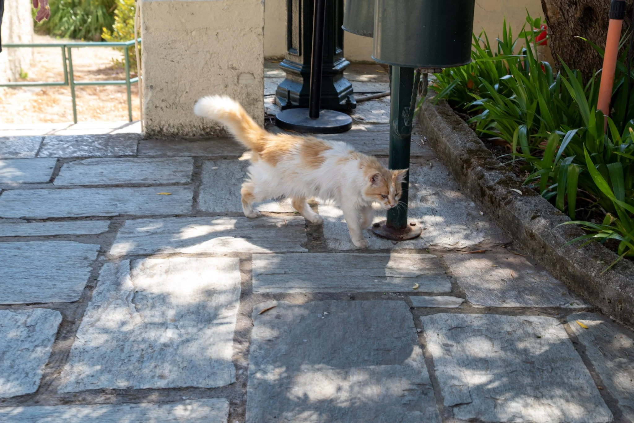 5-DSC_7092.jpg