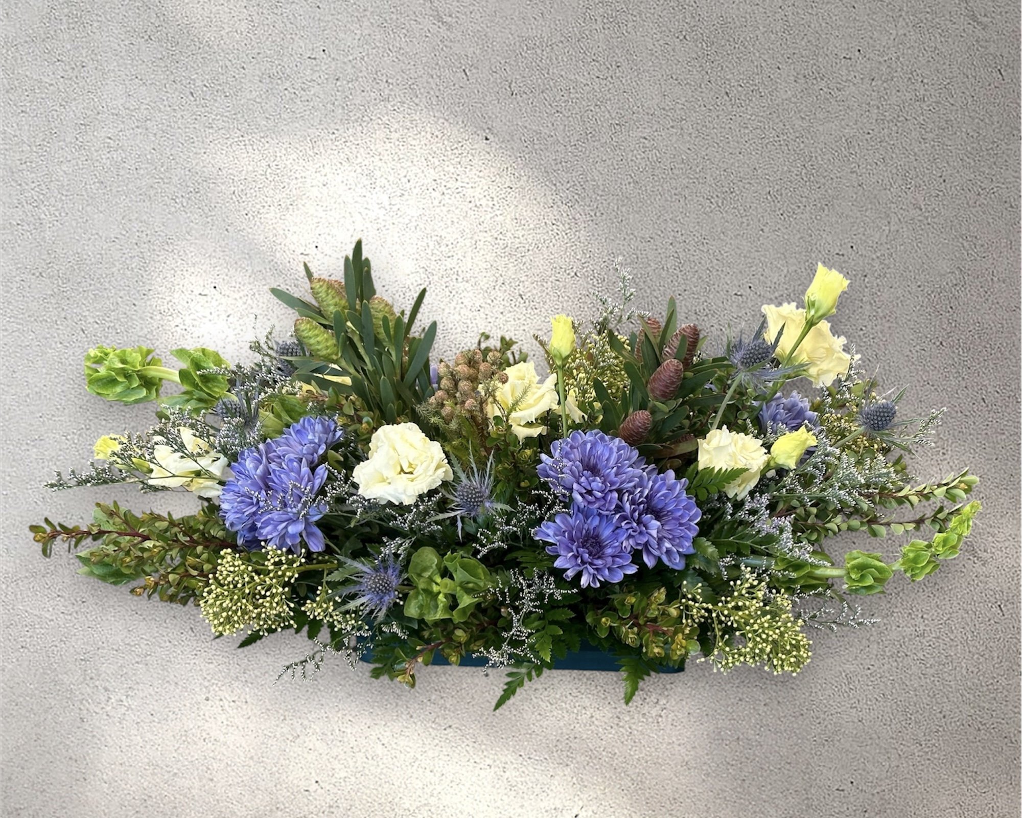 Photoroom_20260910_194029.jpg