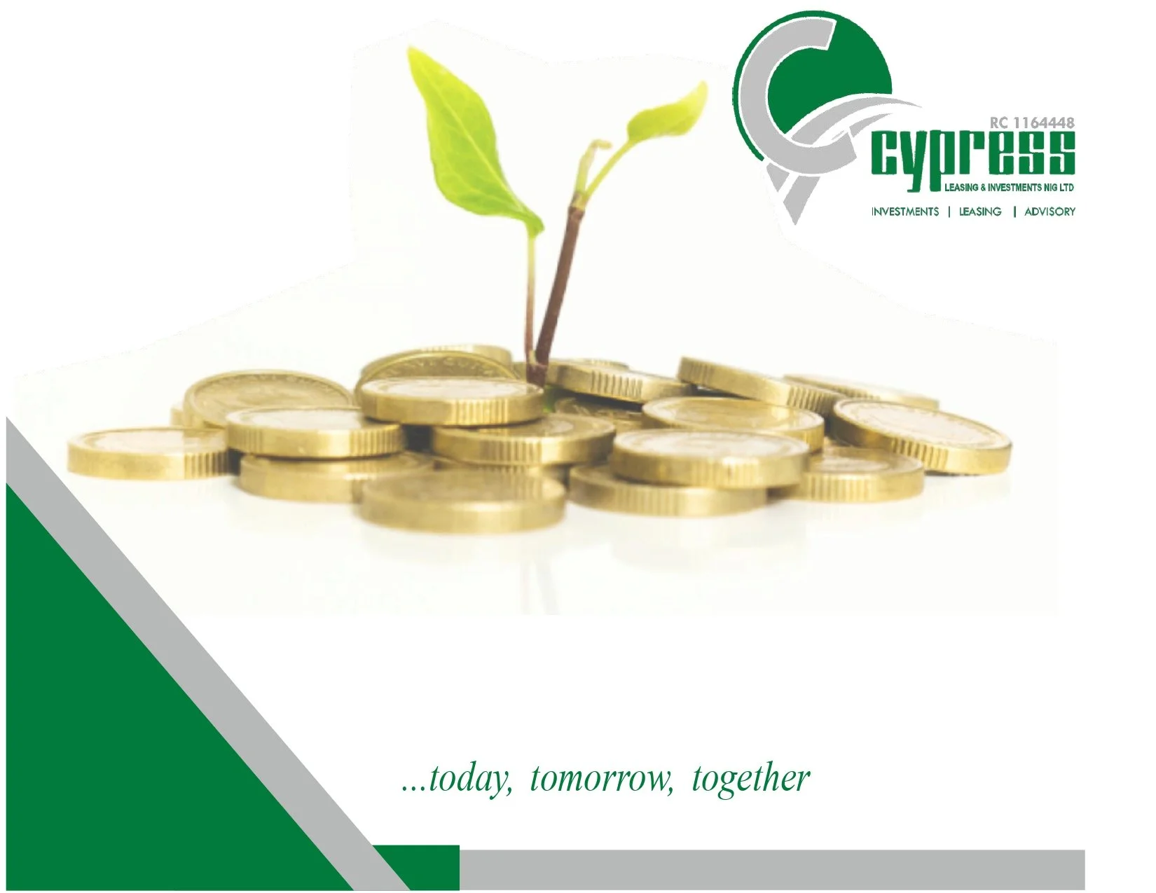 A small plant with green leaves growing from a pile of gold coins, symbolizing growth and investment.