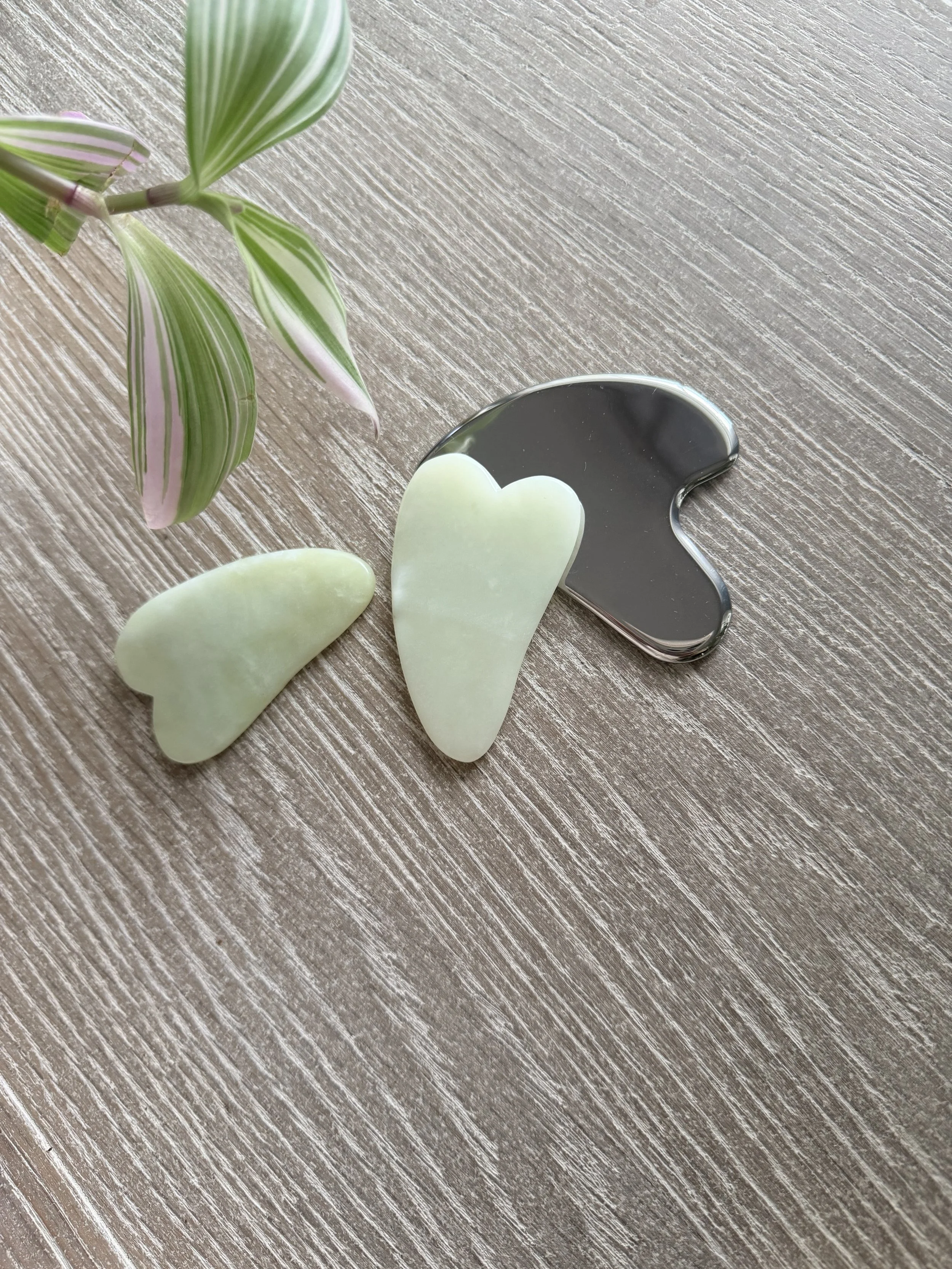 gua sha routine