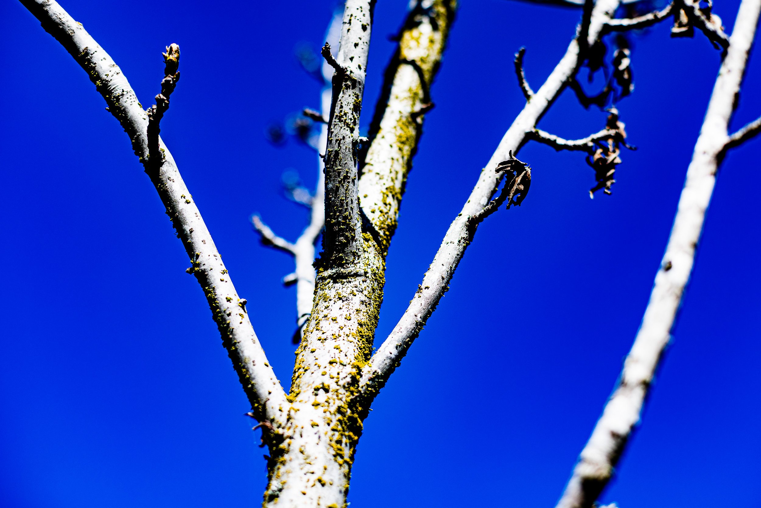 NATURALEZA (6 of 23).jpg