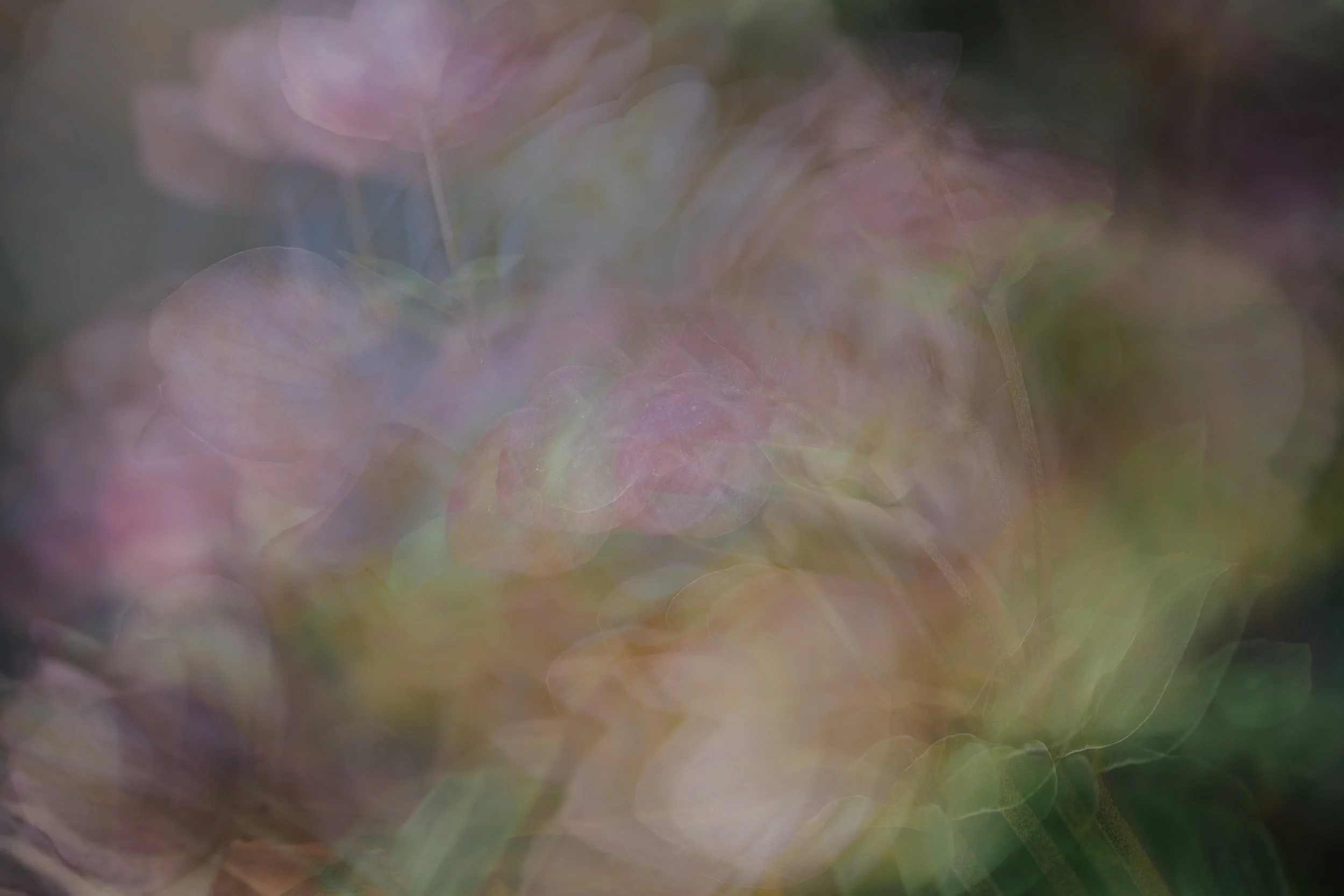 NATURALEZA (23 of 23).jpg