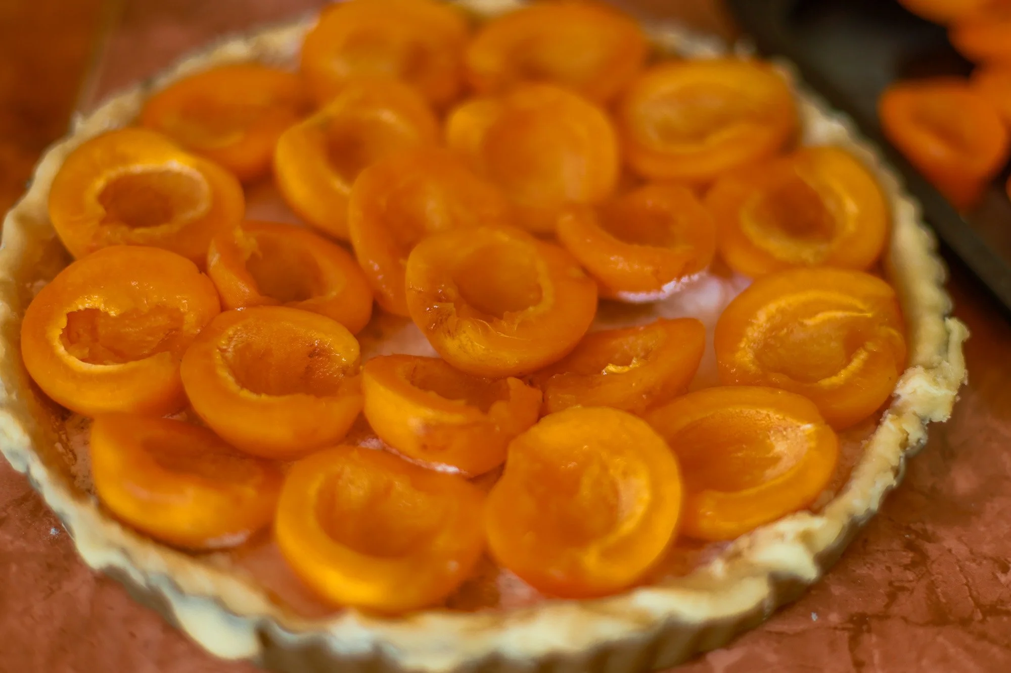 ALIMENTO (41).jpg