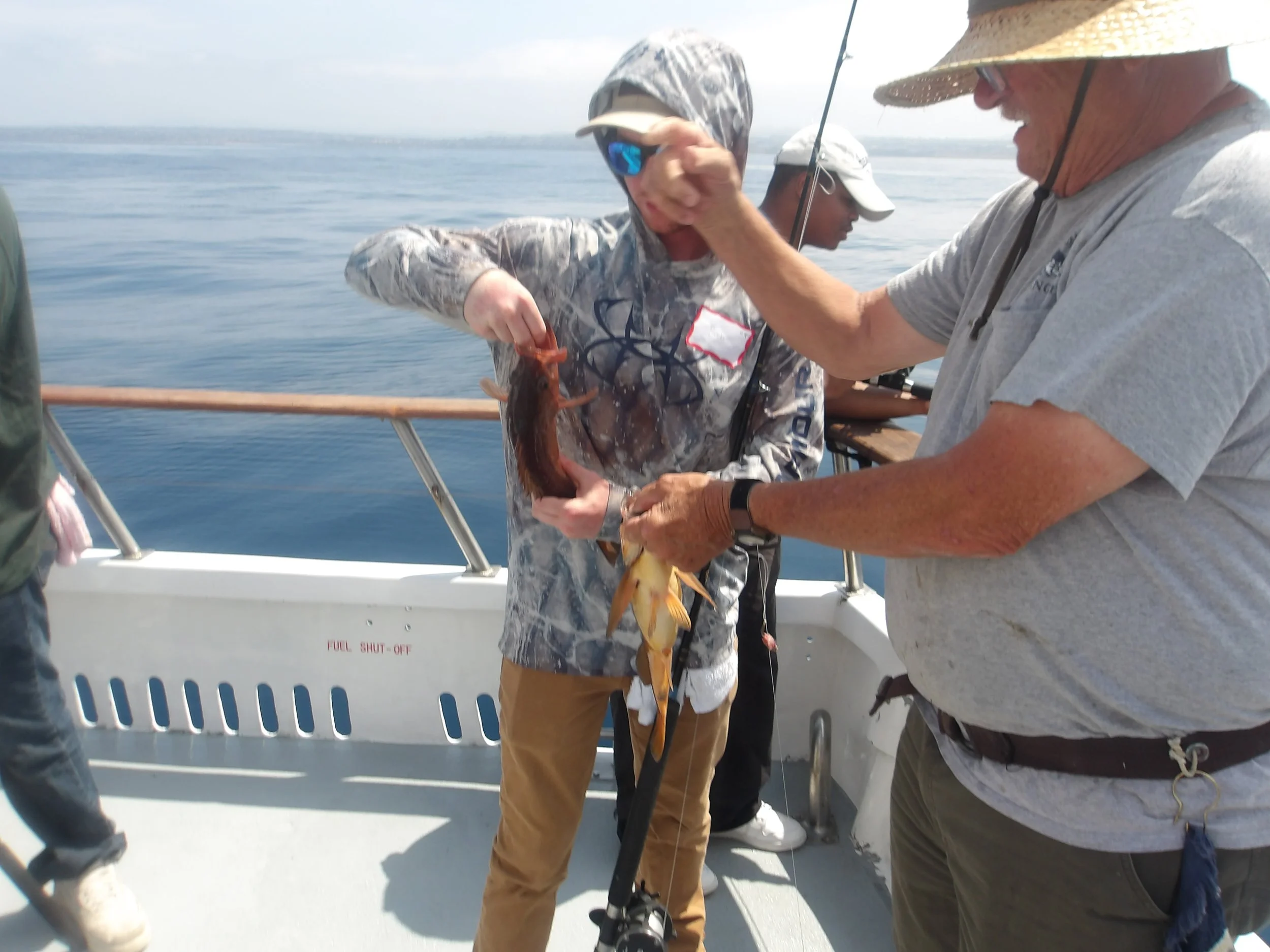 100_0193.JPG