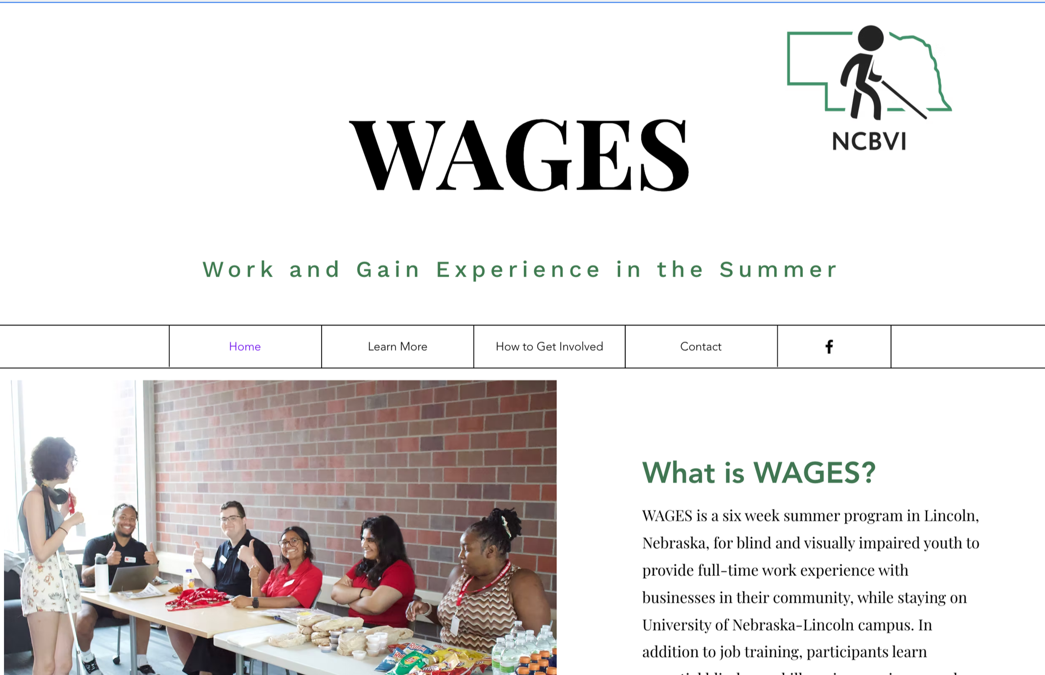 WAGES website design showing the Work and Gain Experience in the Summer program.
