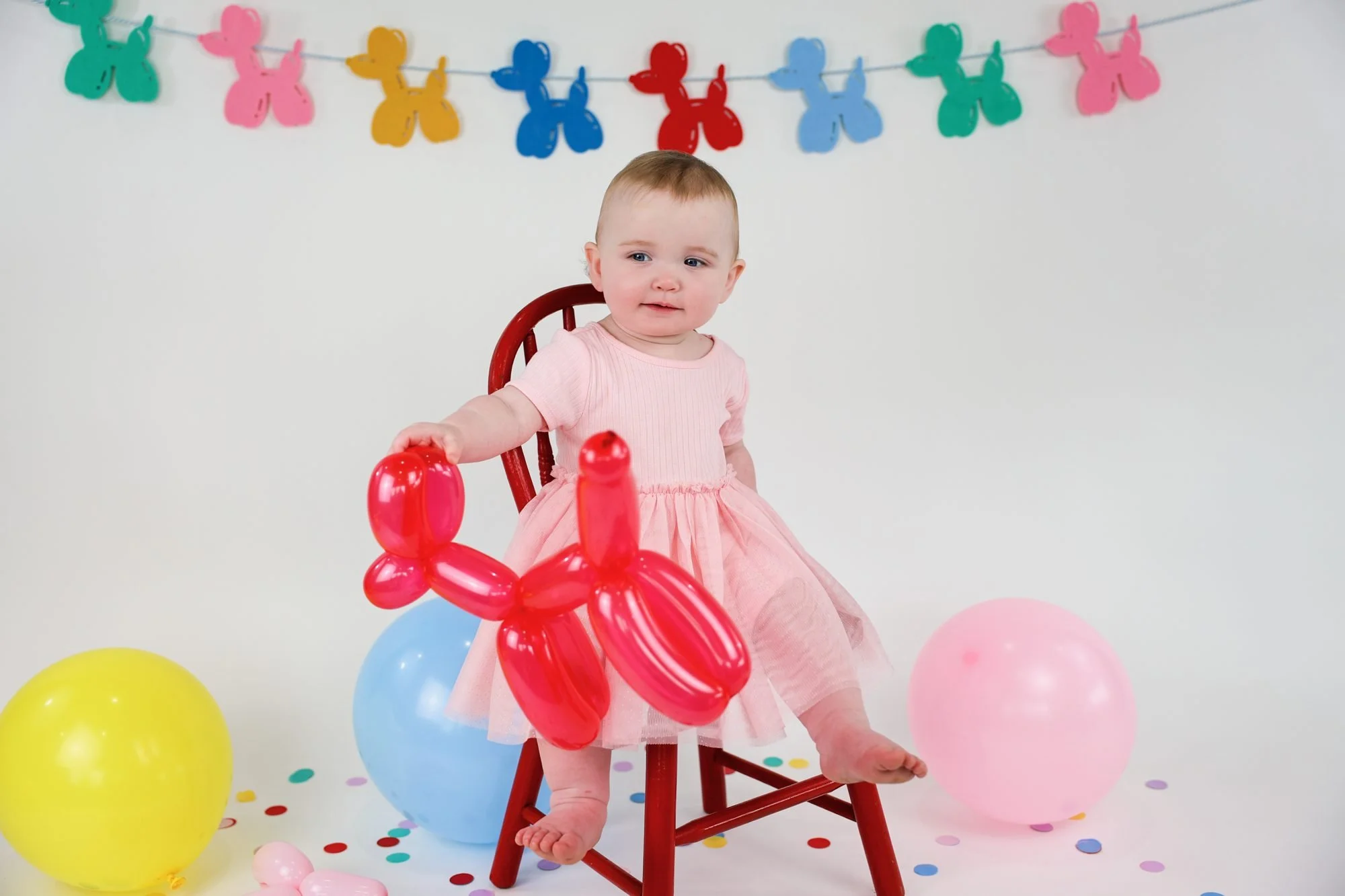 Baby in a pink tulle dress sitting on a red chair holding a red balloon dog, with yellow, blue and pink balloons and confetti