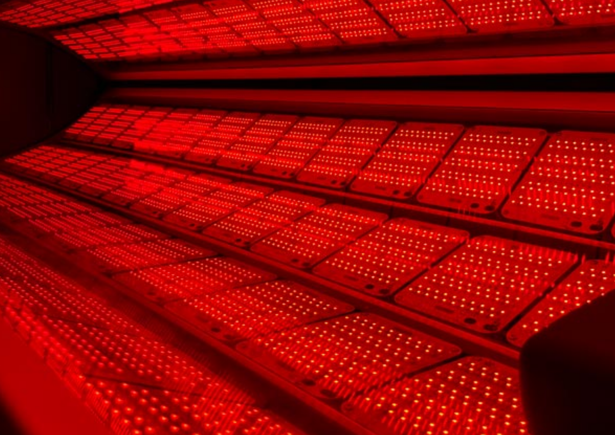 Red light therapy equipment at Tan Spot in Lee's Summit