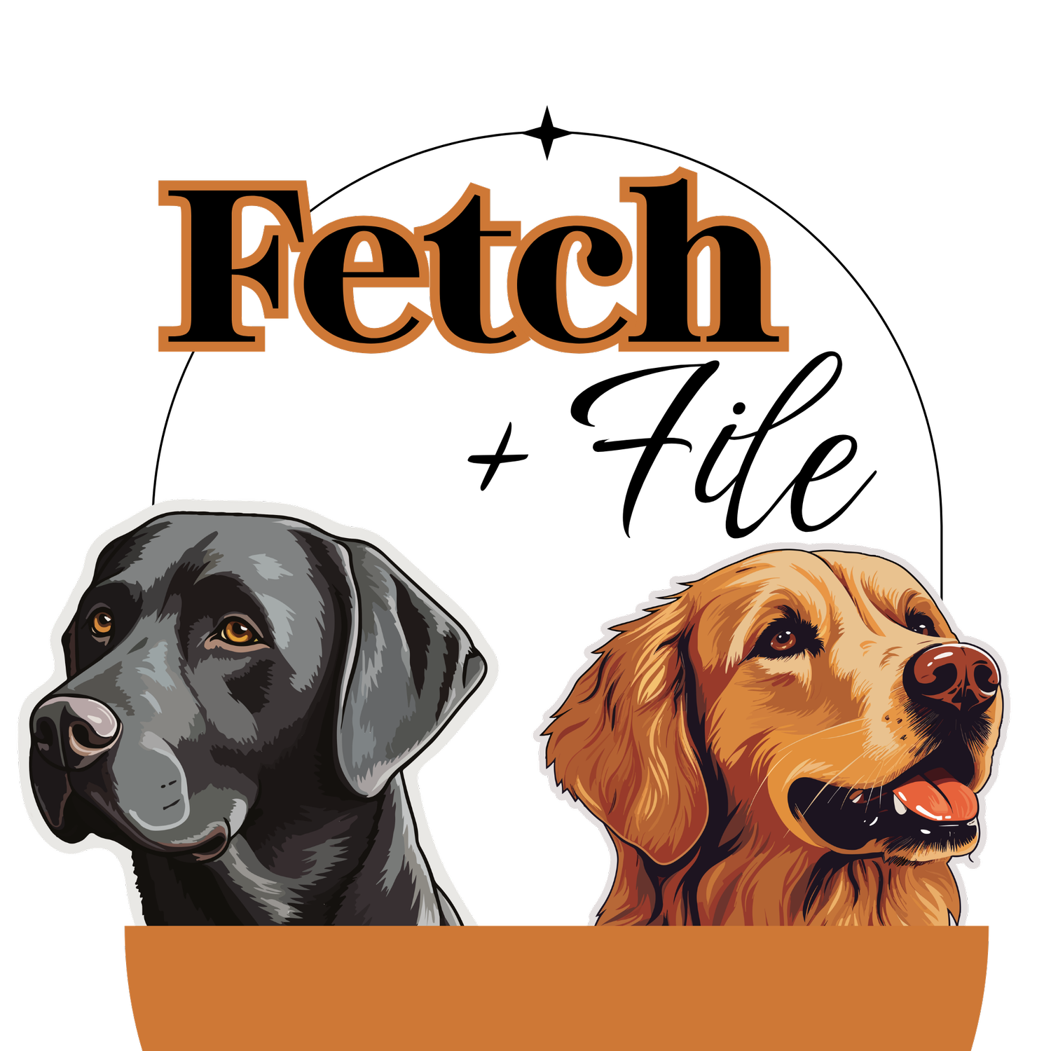 Fetch &amp; File