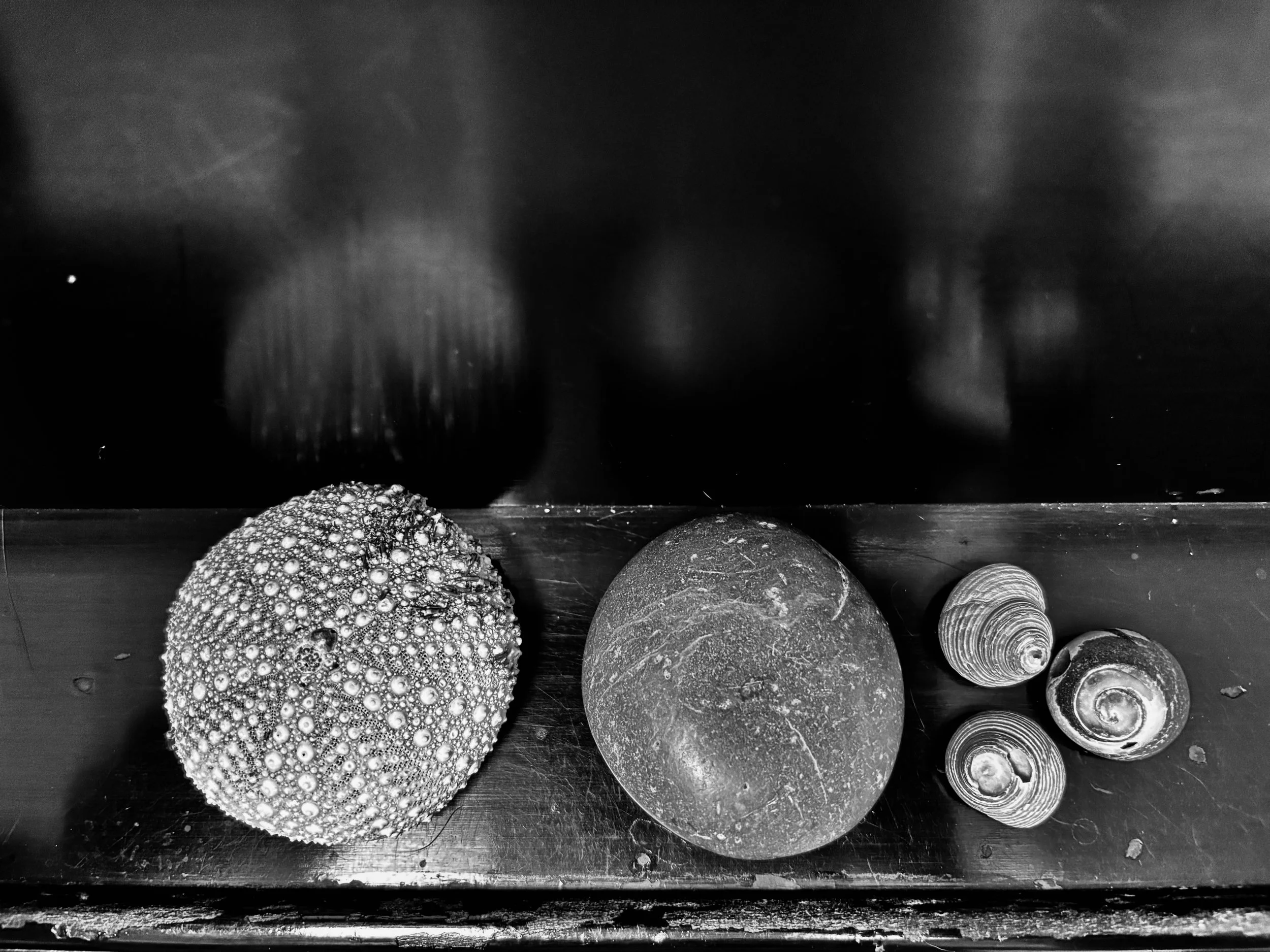 shells and reflection on a black piano music shelf