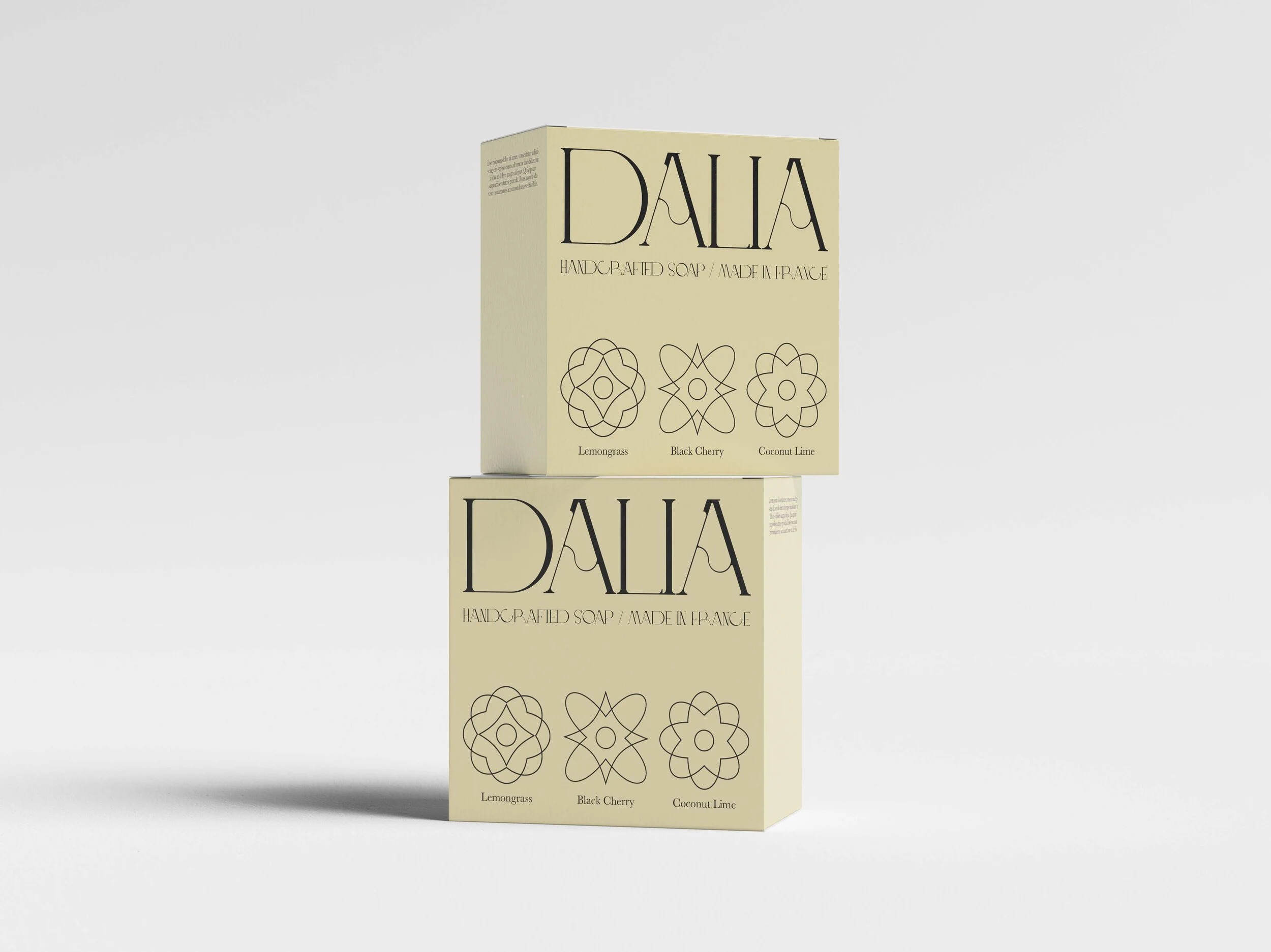 Dalia Co 5.jpeg