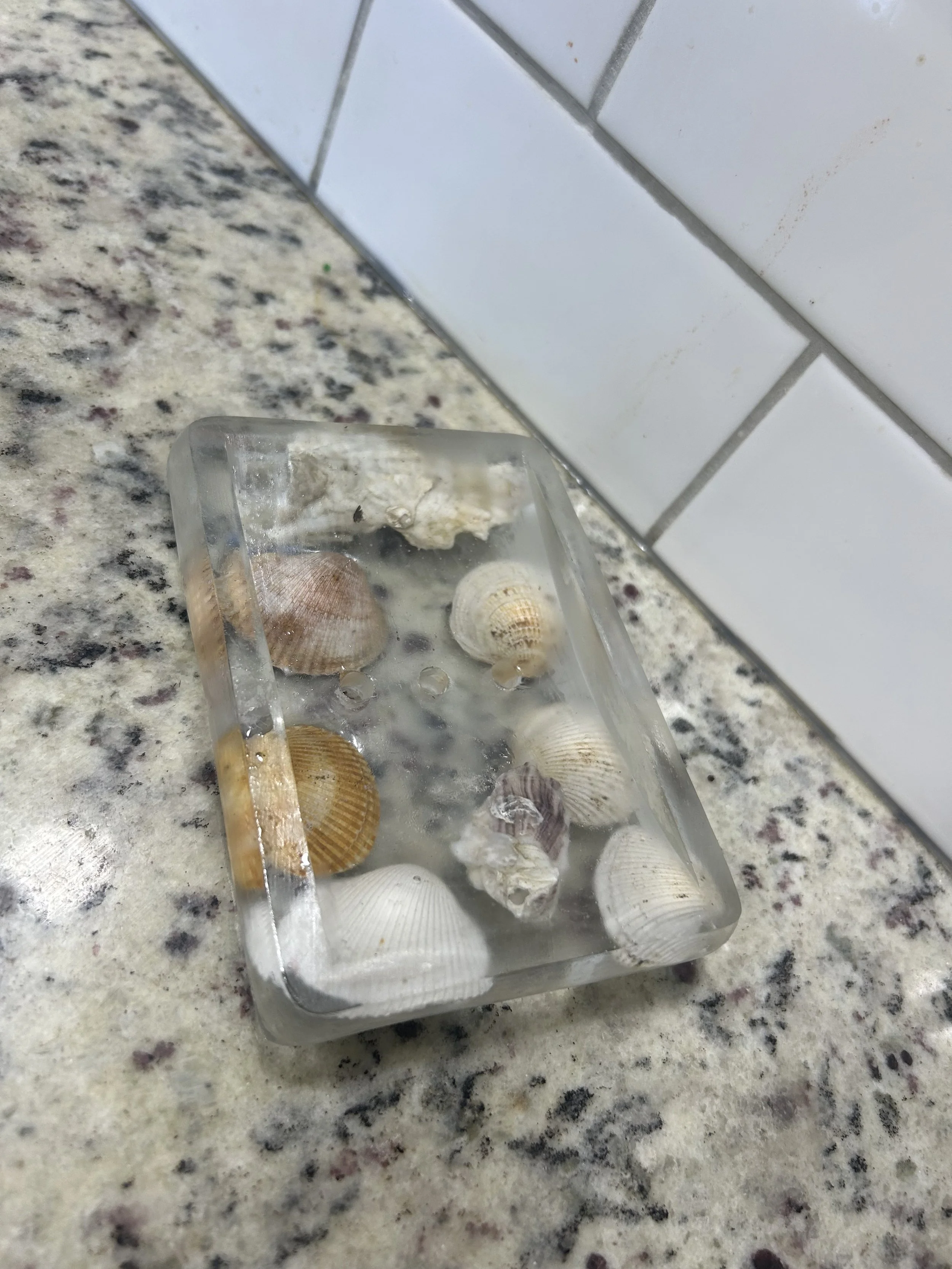 Rectangle Sea Shell Soap Dish