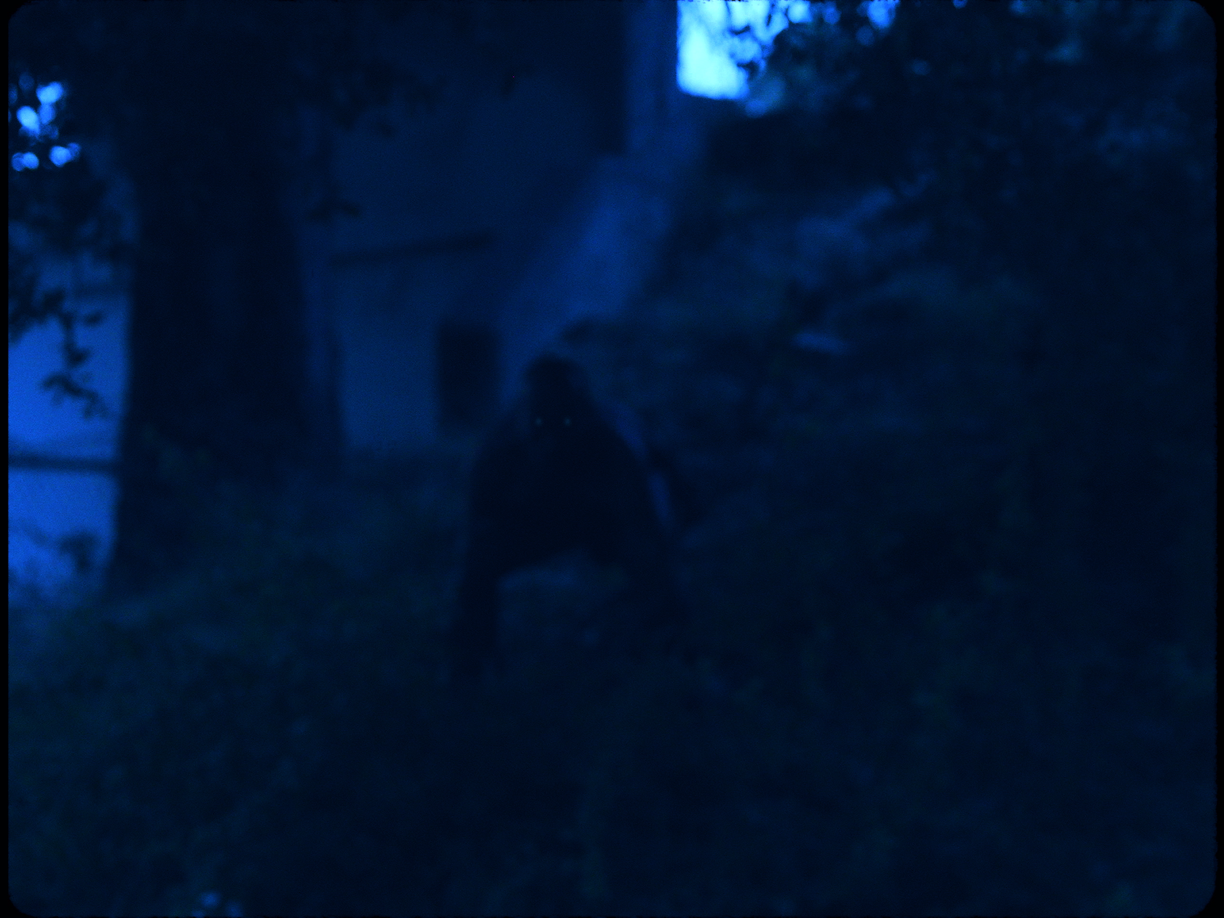 TNJ_SG_152.png